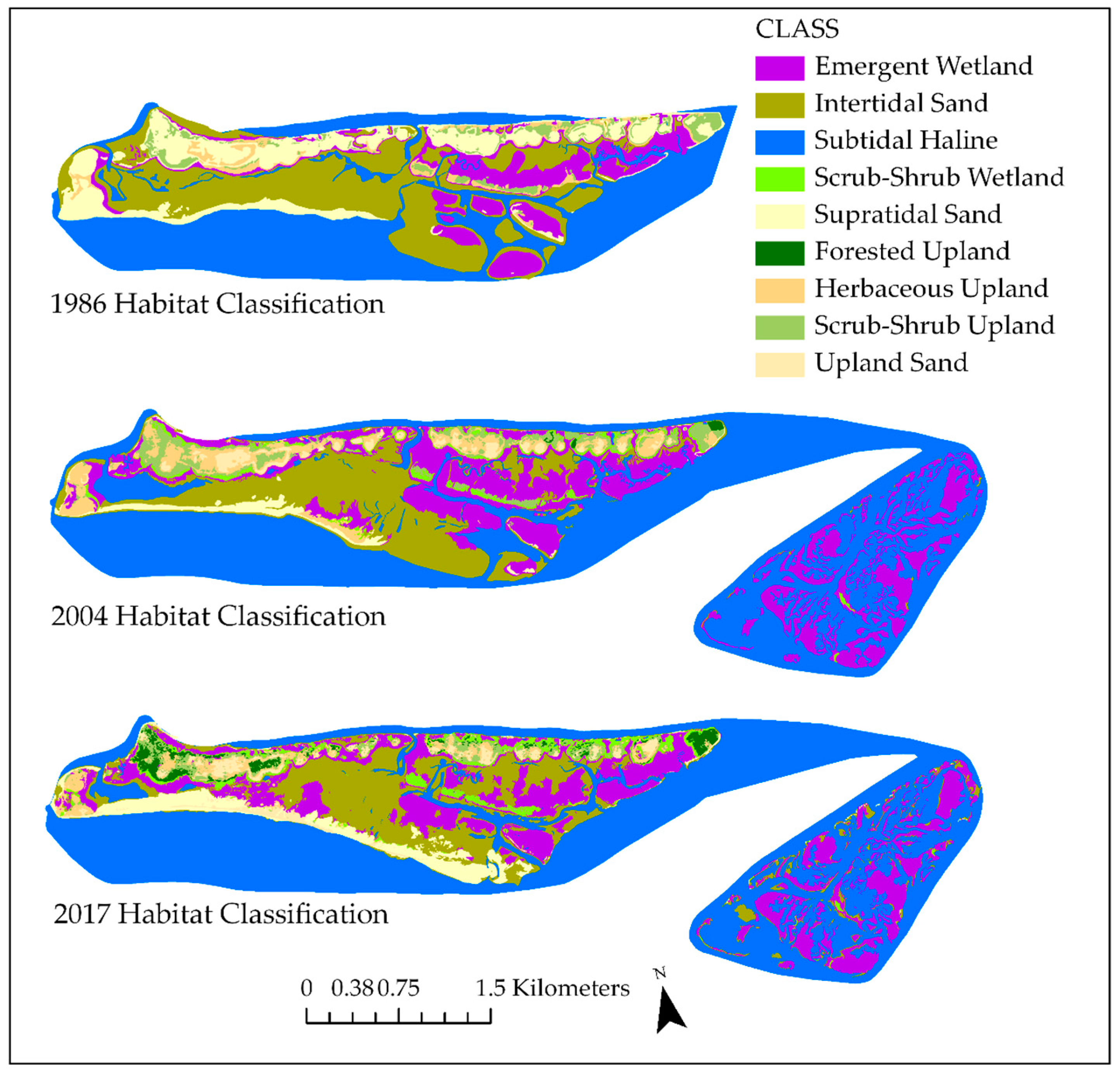 Remote Sensing Free Full Text Integrating Drone Imagery Into High Resolution Satellite Remote Sensing Assessments Of Estuarine Environments Html