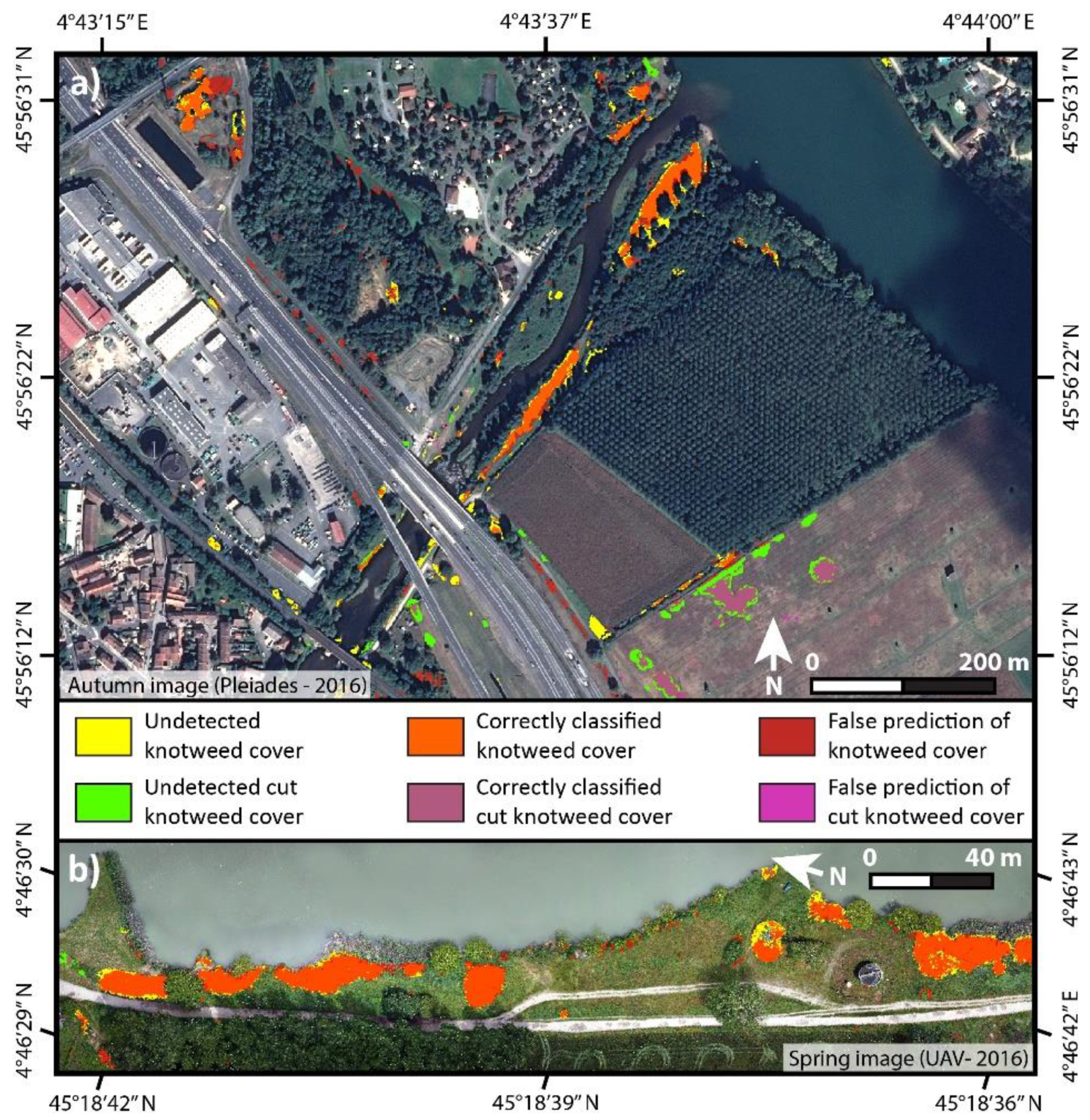 Remote Sensing Free Full Text Using Single And Multi Date Uav And Satellite Imagery To Accurately Monitor Invasive Knotweed Species Html