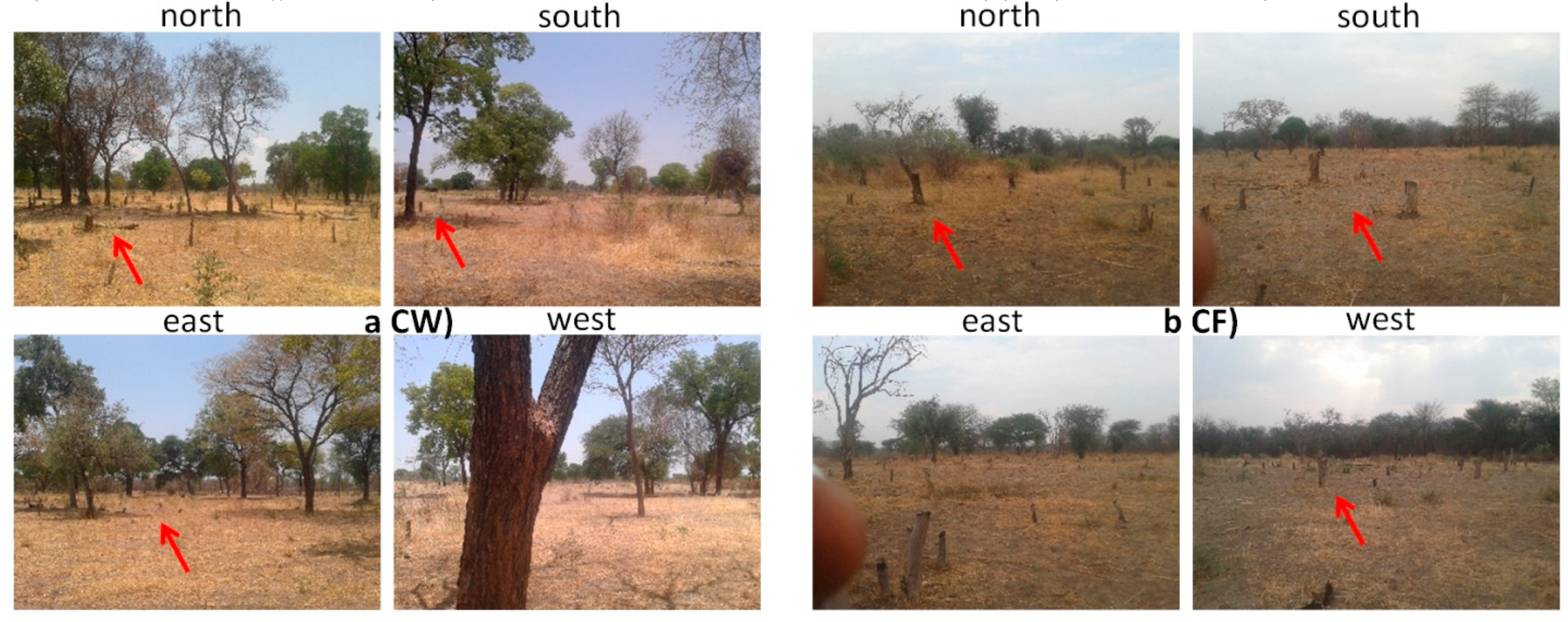 Remotesensing 10 01850 g003a