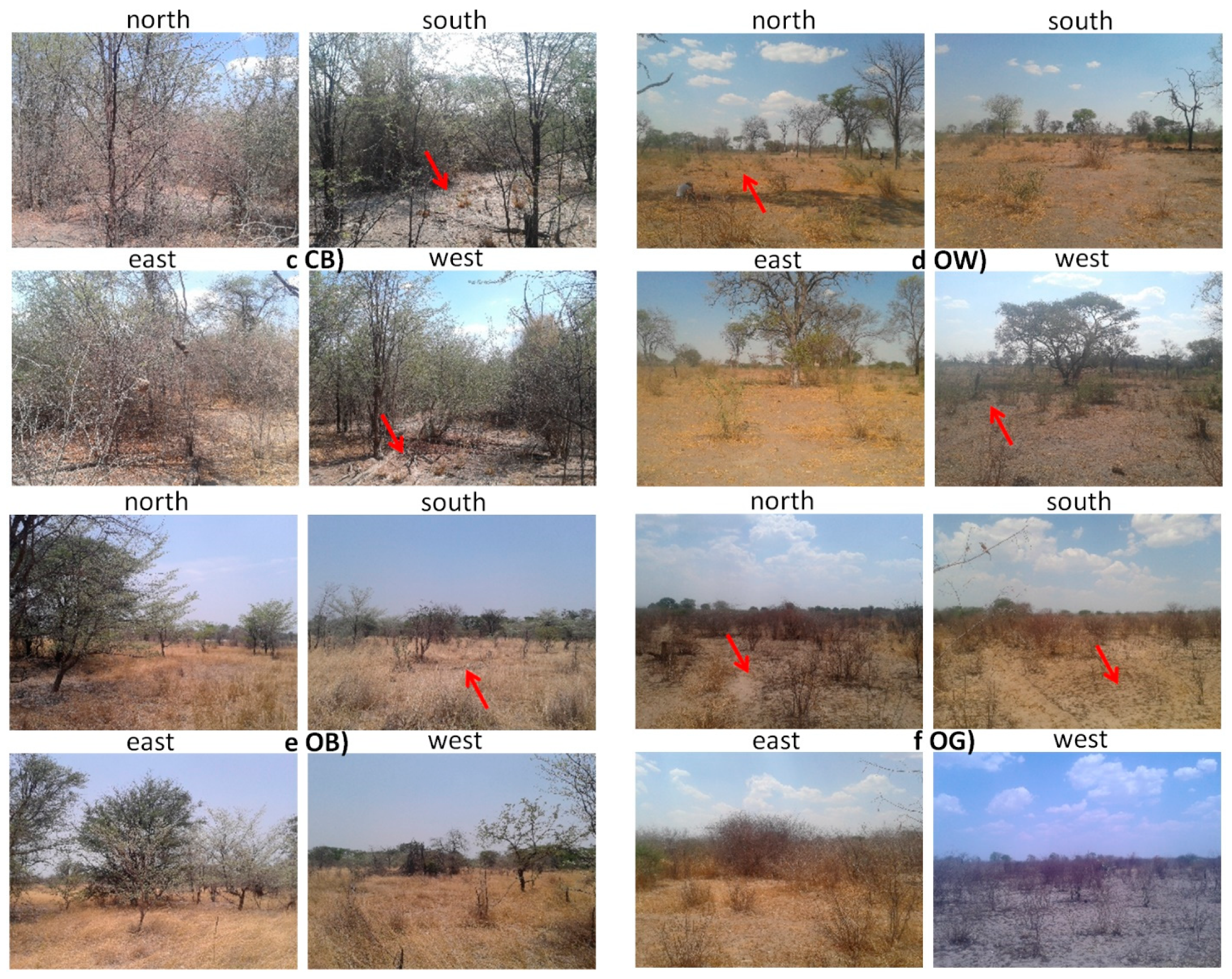 Remotesensing 10 01850 g003b