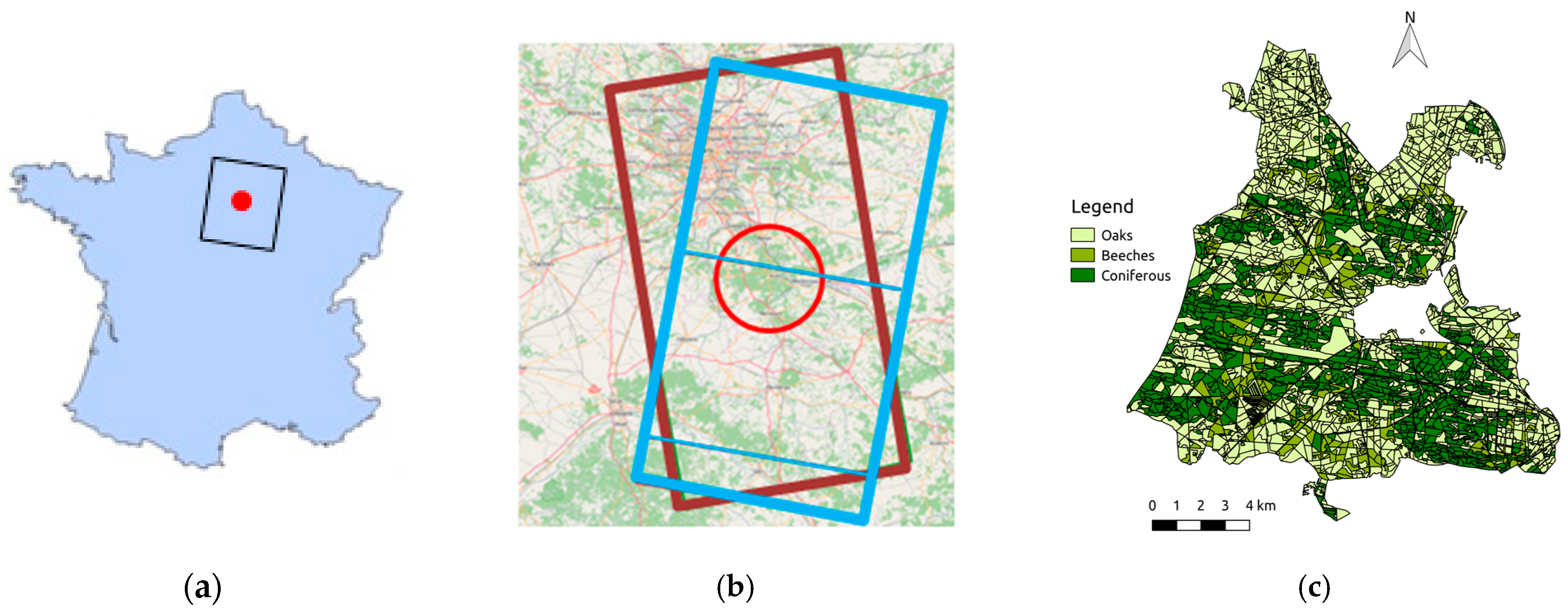 Remote Sensing | Free Full-Text | Potential of Sentinel-1 Data for  Monitoring Temperate Mixed Forest Phenology