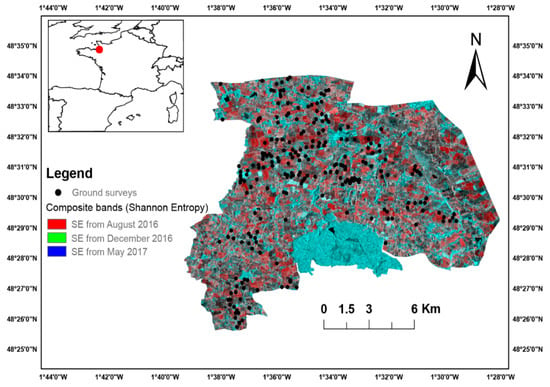 Remote Sensing Free Full Text Evaluation Of Using Sentinel 1 And 2 Time Series To Identify Winter Land Use In Agricultural Landscapes Html