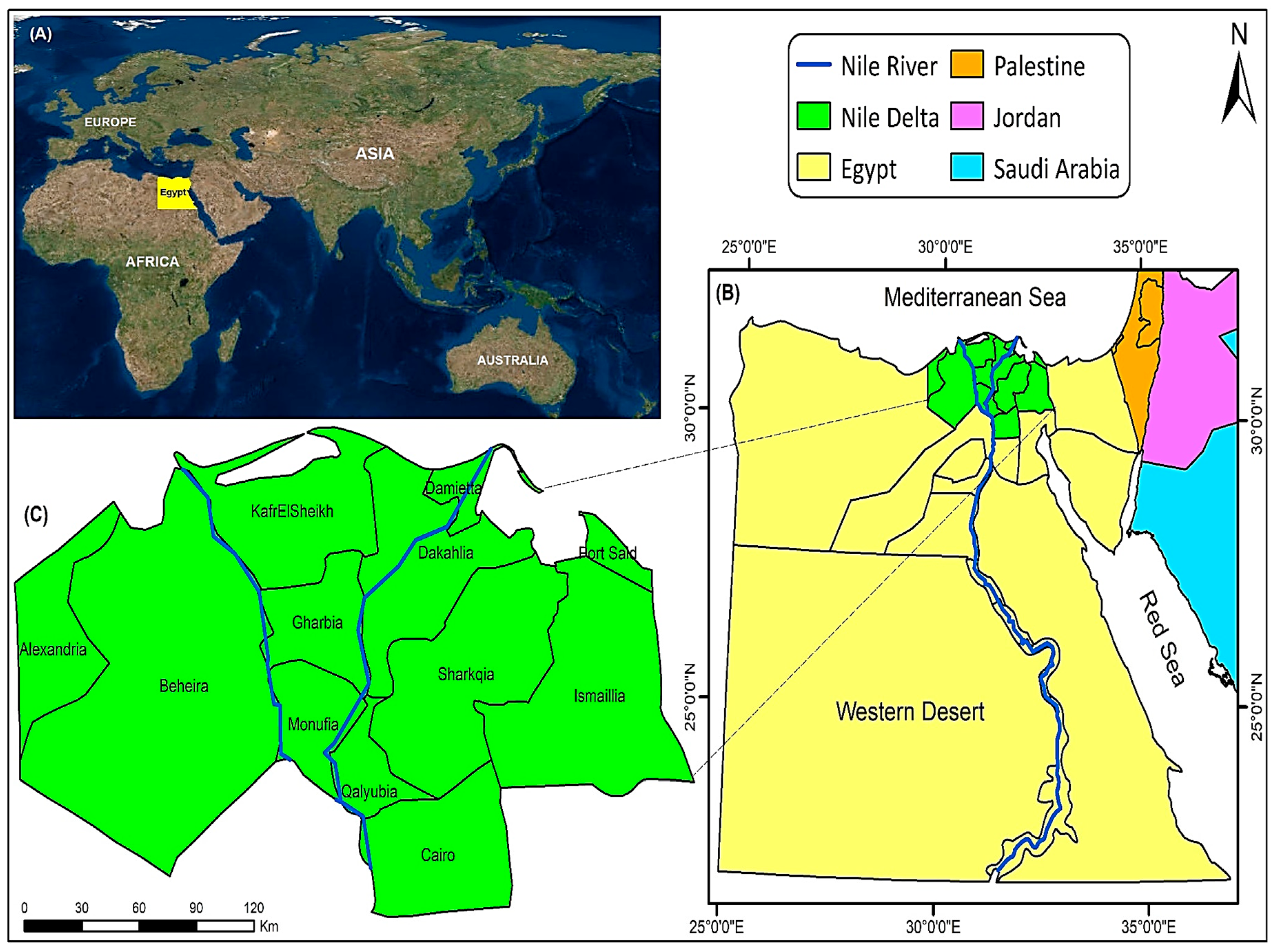 Remote Sensing | Free Full-Text | Dramatic Loss of Agricultural Land Due to Urban  Expansion Threatens Food Security in the Nile Delta, Egypt