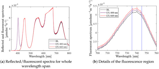 Changes in chlorophyll a fluorescence in transmitter and receiver