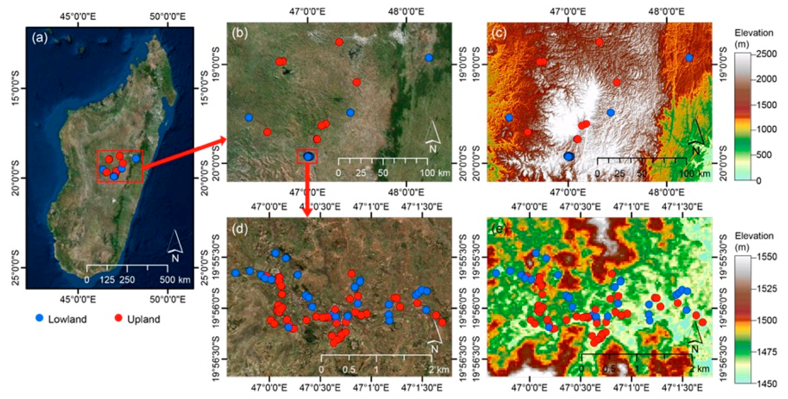 Remotesensing 11 00506 g001