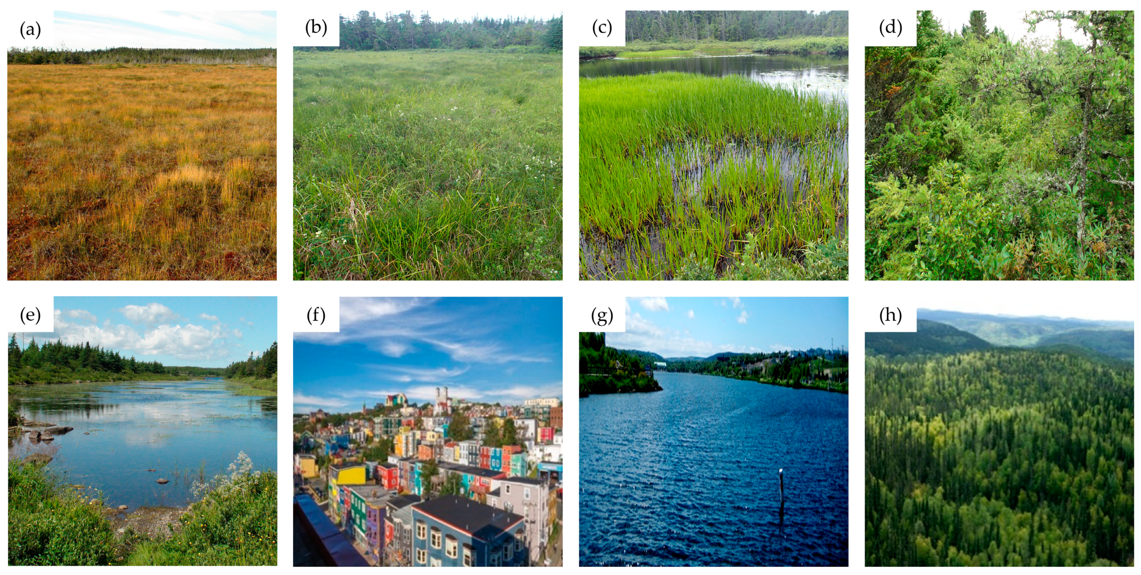 Remotesensing 11 00516 g002