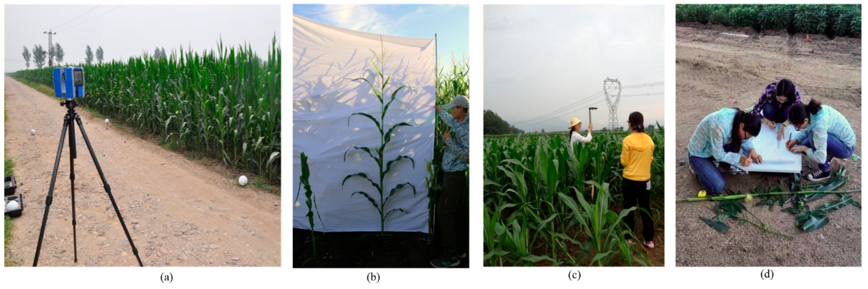 Remotesensing 11 00572 g002