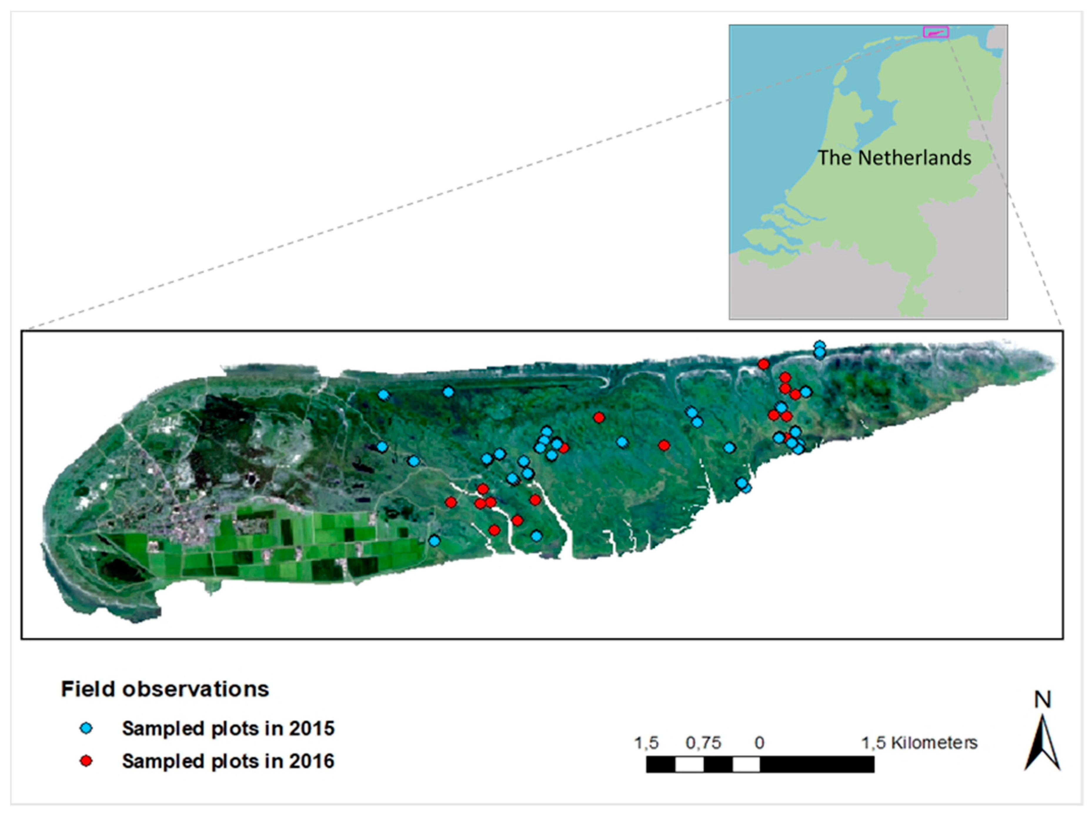 Remote Sensing | Free Full-Text | Analysis of Sentinel-2 and RapidEye for  Retrieval of Leaf Area Index in a Saltmarsh Using a Radiative Transfer Model