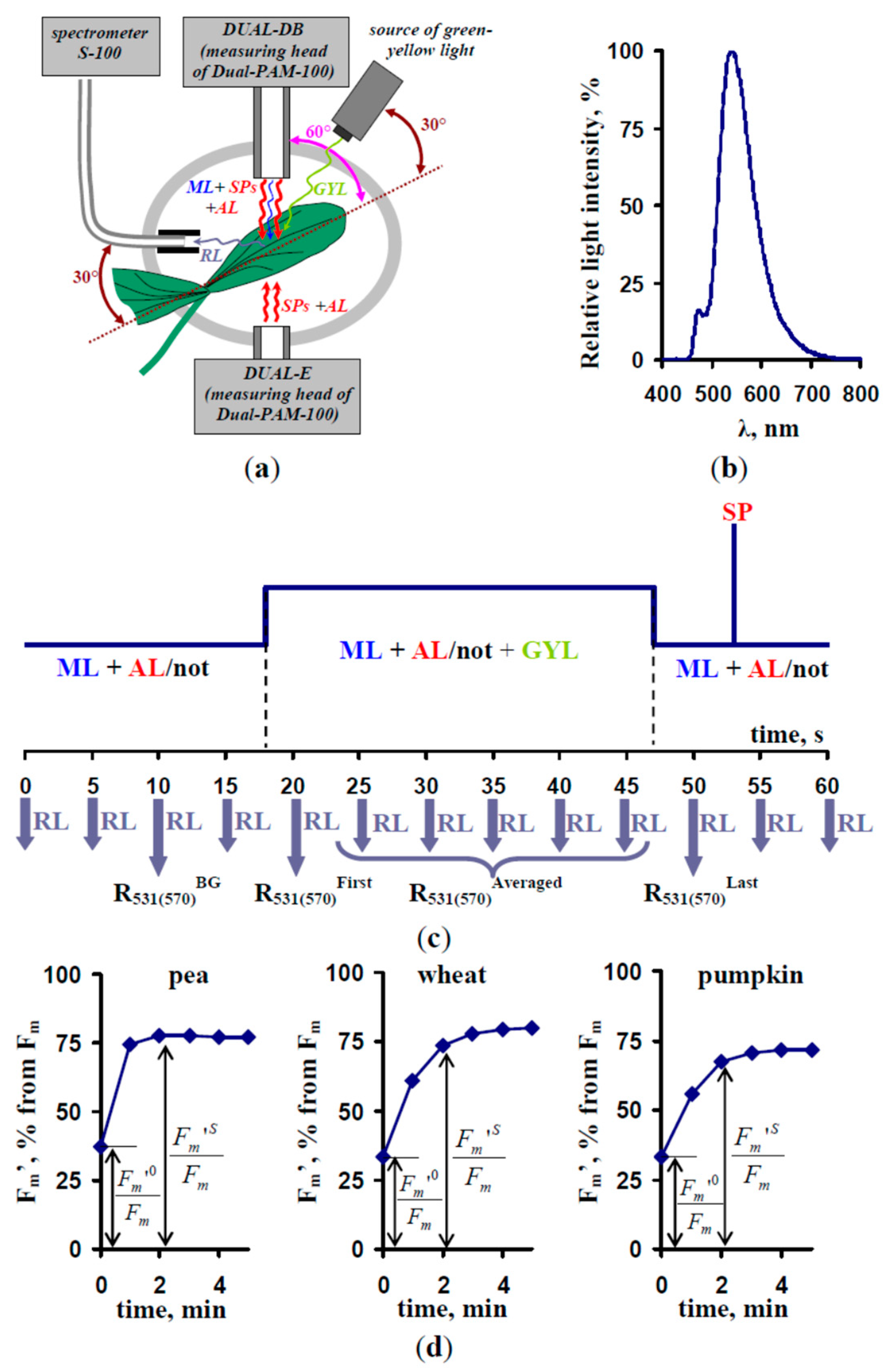 Remote Sensing Free Full Text Analysis Of Light Induced Changes In The Photochemical Reflectance Index Pri In Leaves Of Pea Wheat And Pumpkin Using Pulses Of Green Yellow Measuring Light Html