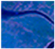 Remotesensing 11 00921 i007 Remotesensing 11 00921 i007