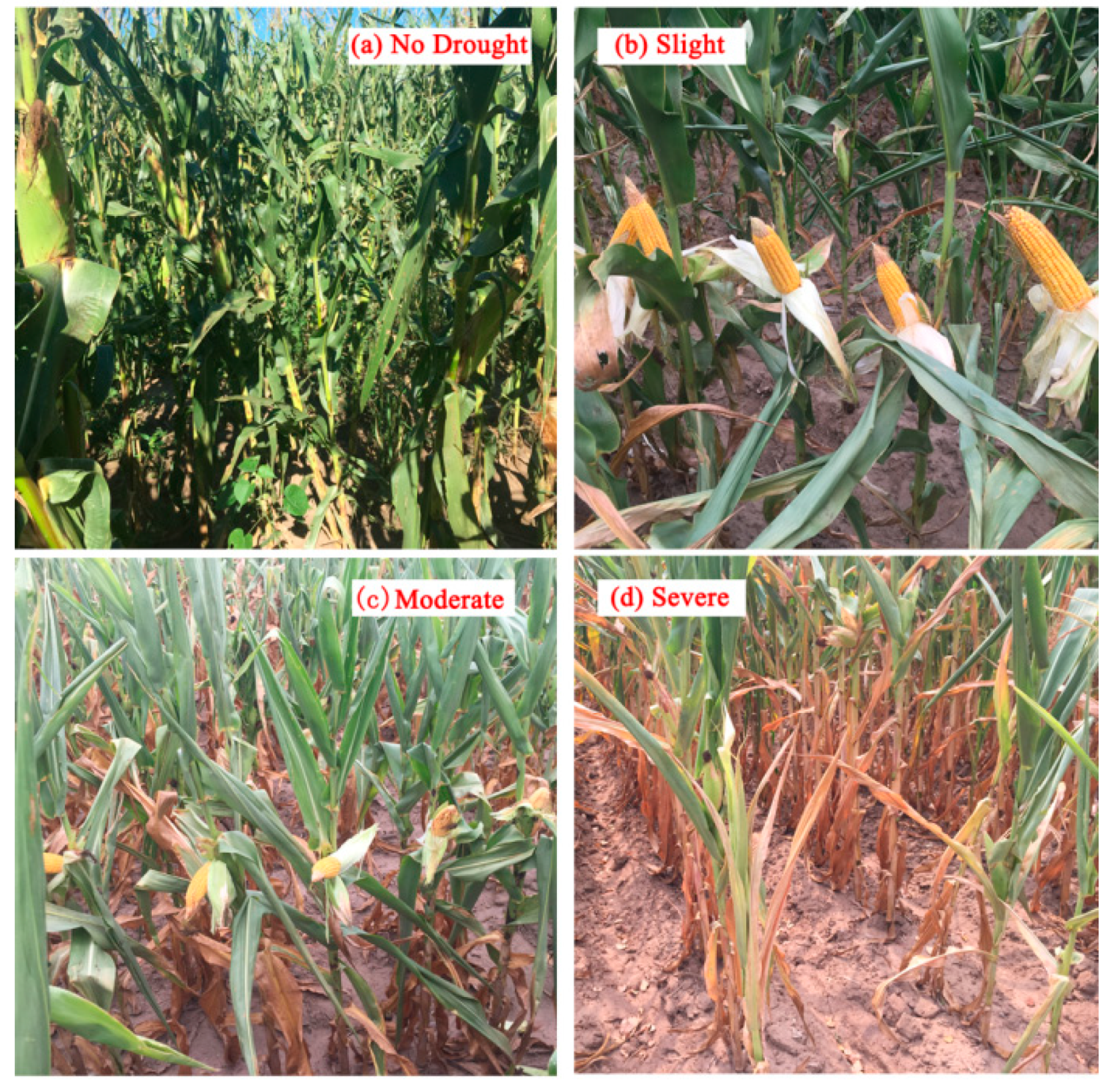 Remotesensing 11 01066 g003