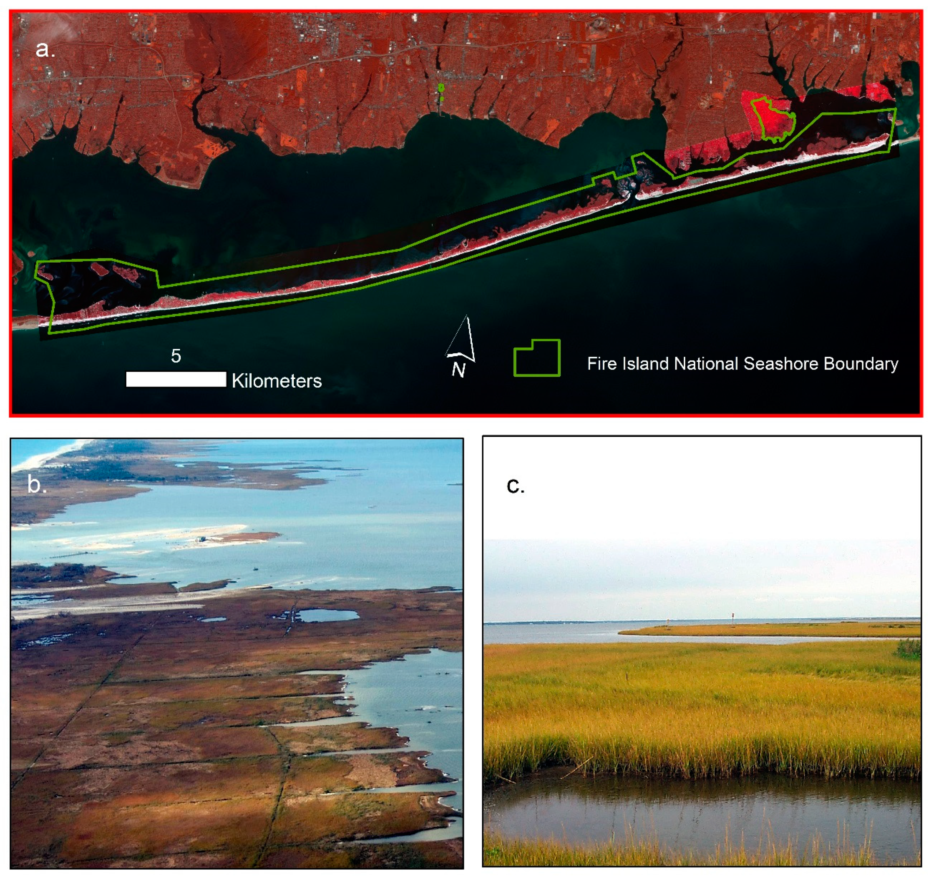 Remote Sensing | Free Full-Text | High Spatial Resolution Remote Sensing  for Salt Marsh Mapping and Change Analysis at Fire Island National Seashore