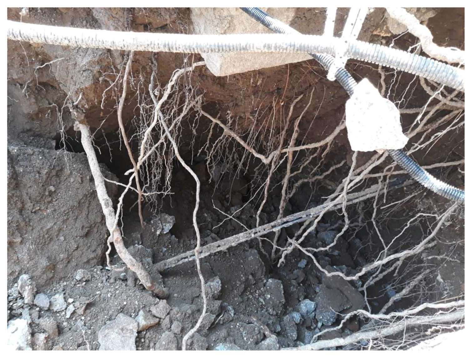 Remotesensing 11 01301 g013