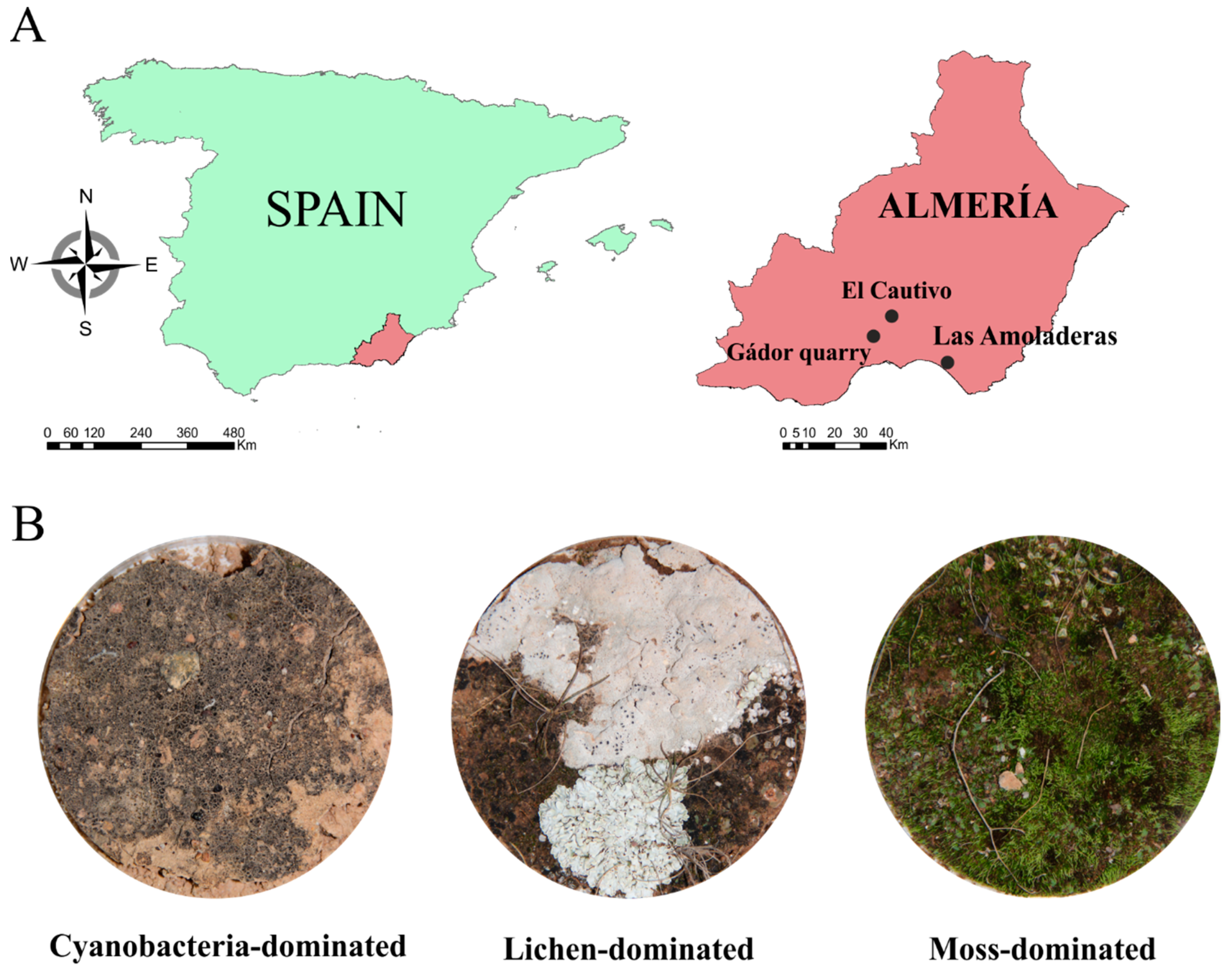 Remotesensing 11 01350 g001