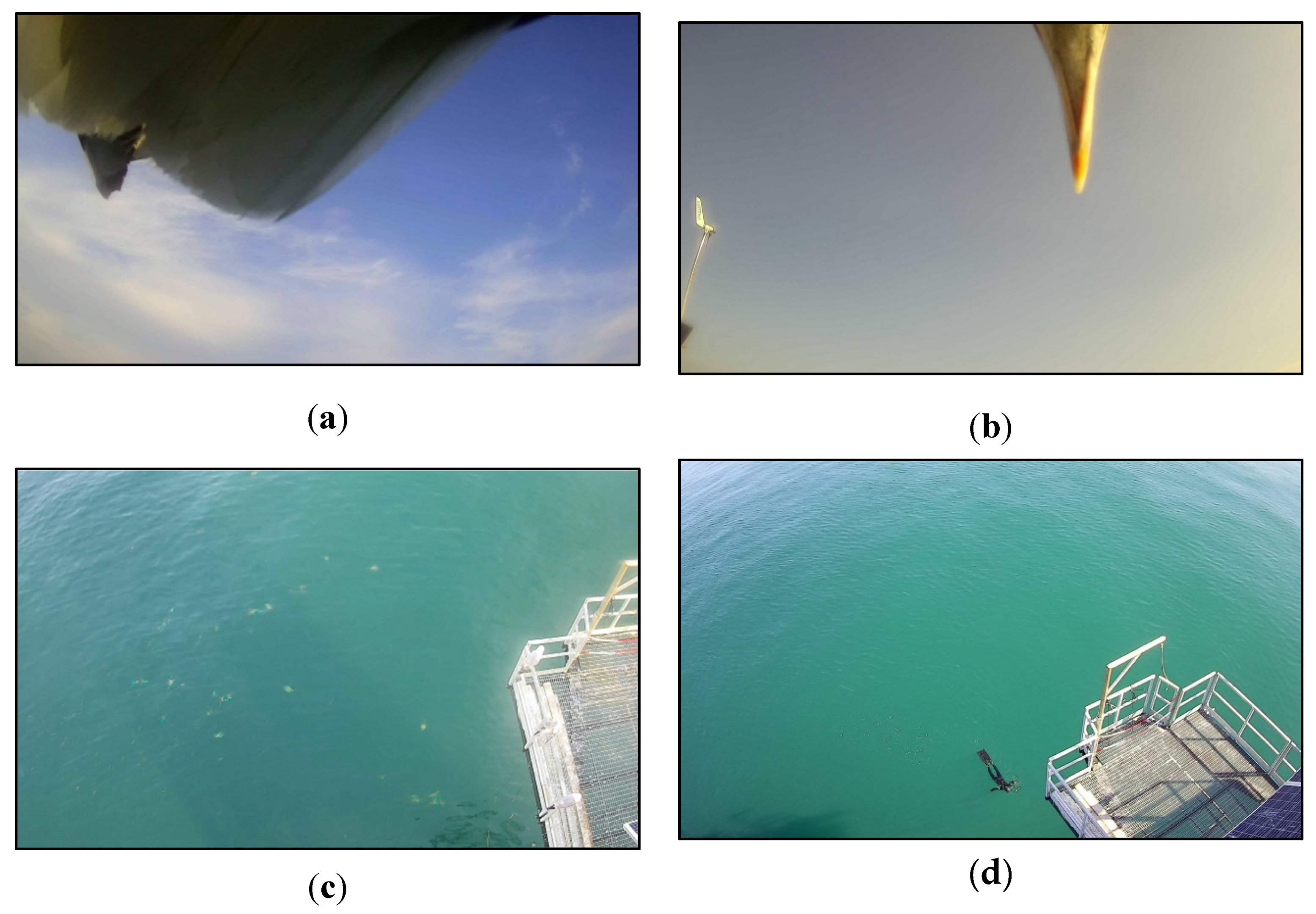 Remotesensing 11 01360 g005