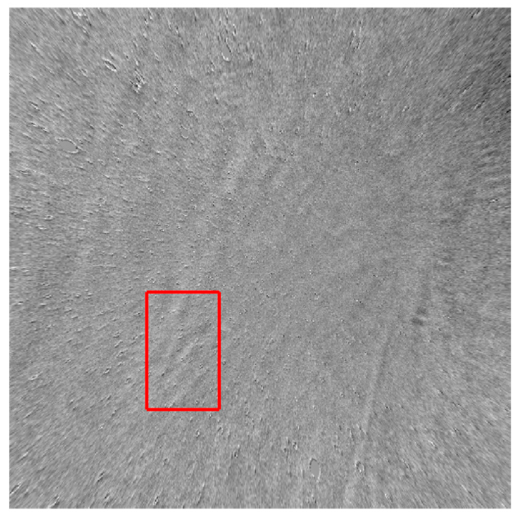 Remotesensing 11 01516 g013