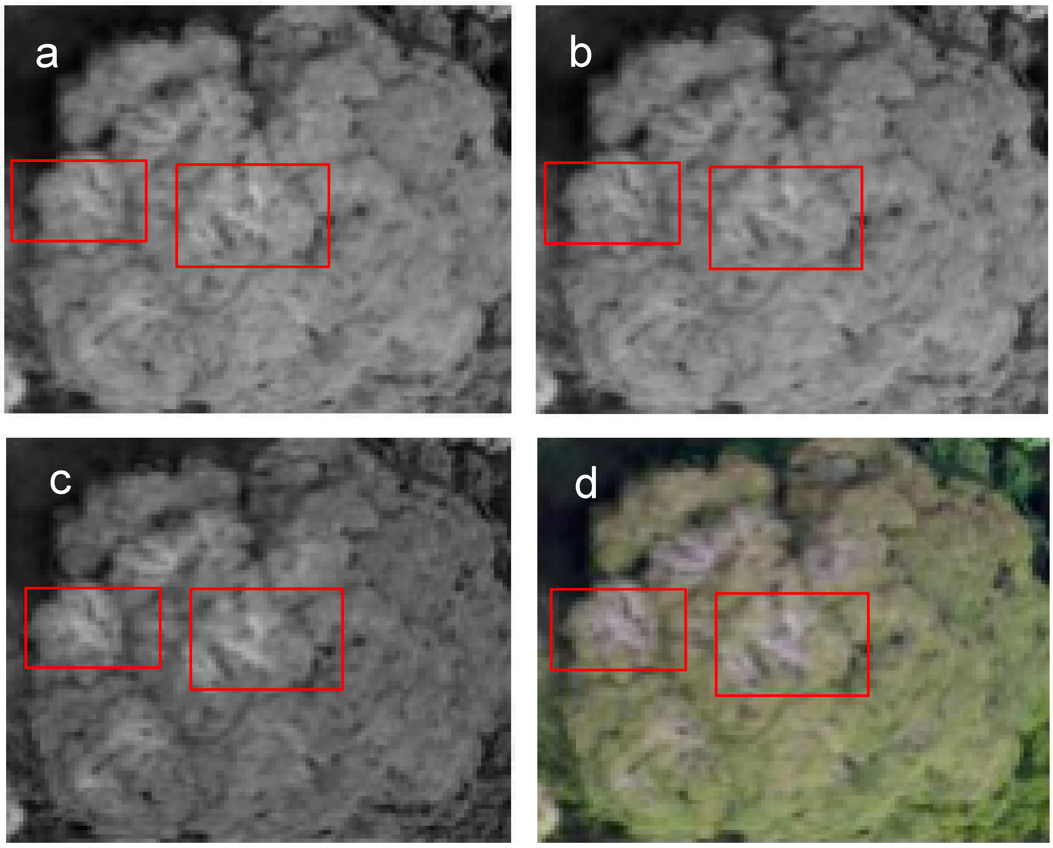 Remotesensing 11 01534 g0a6