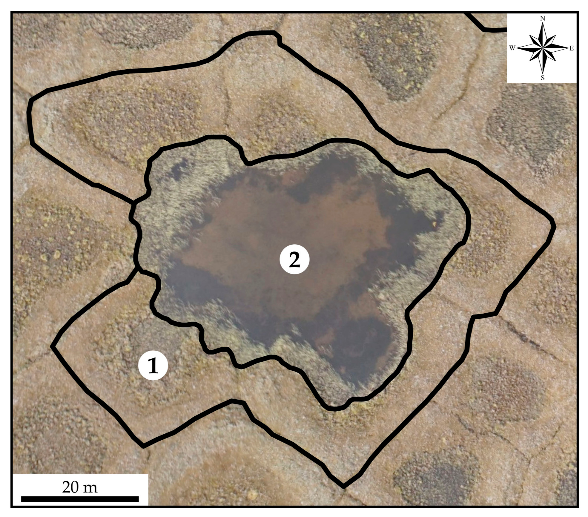 Remote Sensing | Free Full-Text | Assessment of the Ice