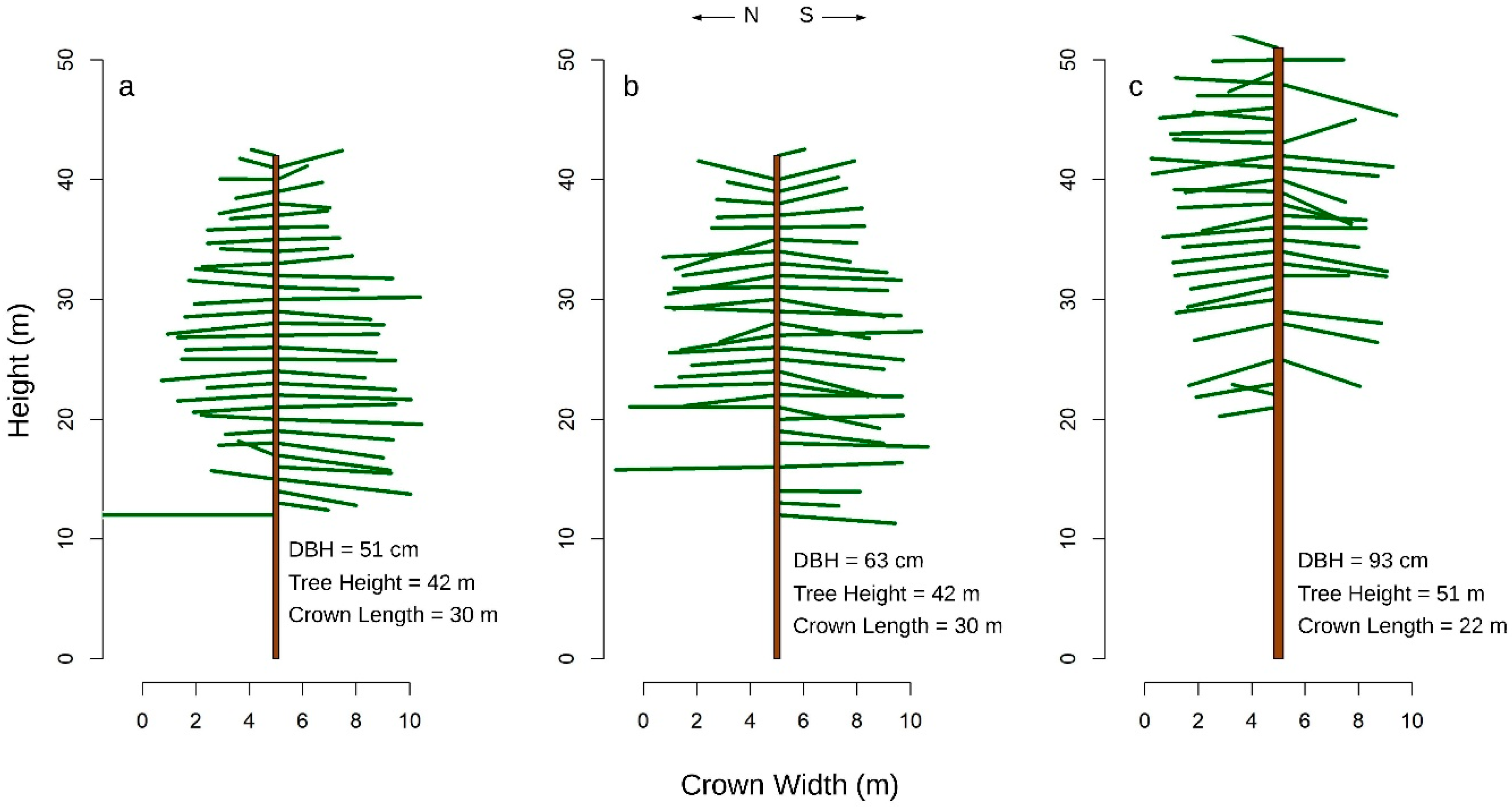 Douglas Fir Vs Noble Fir A Comparative Analysis on 19 Key Factors