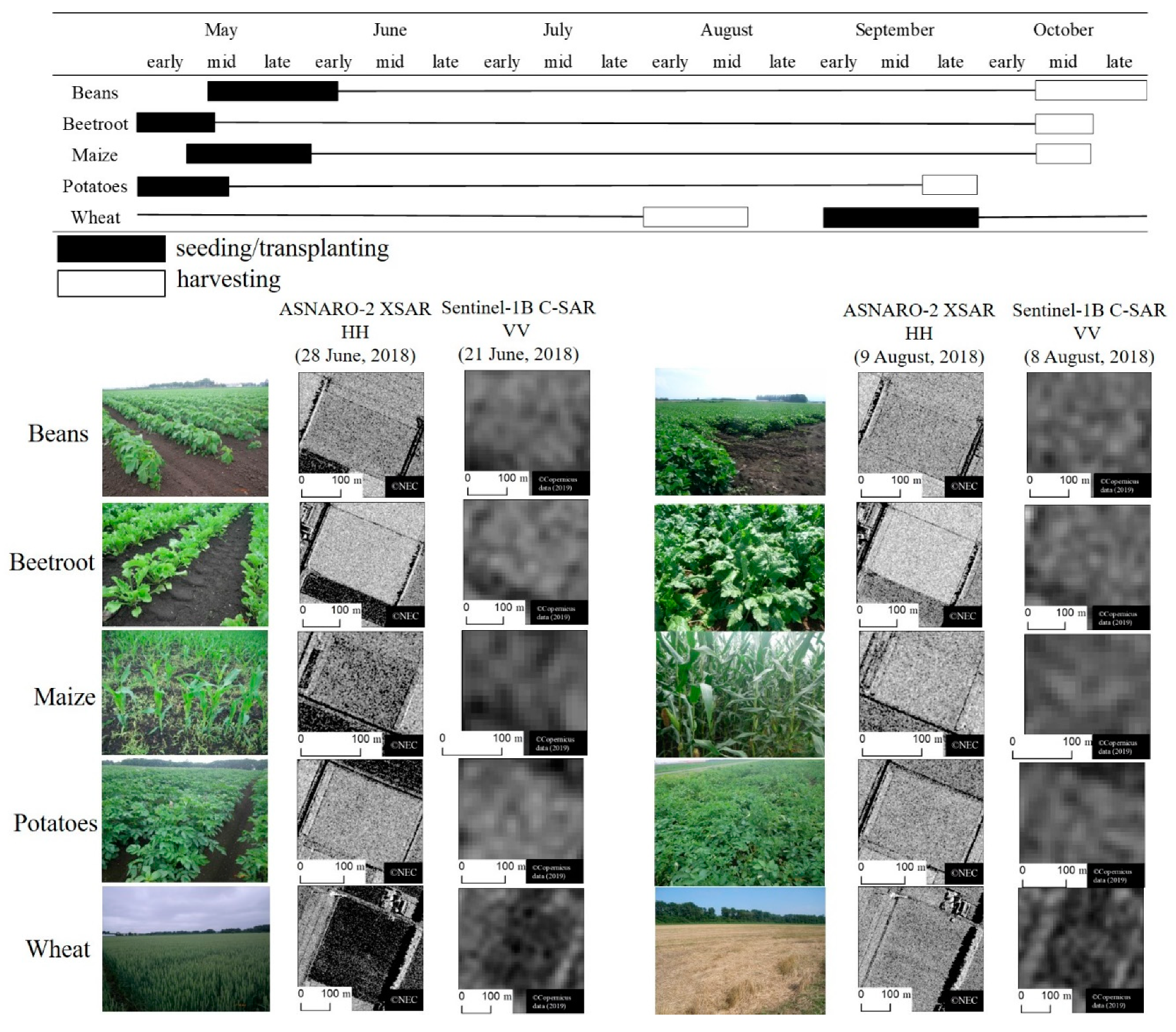 Remotesensing 11 01920 g002