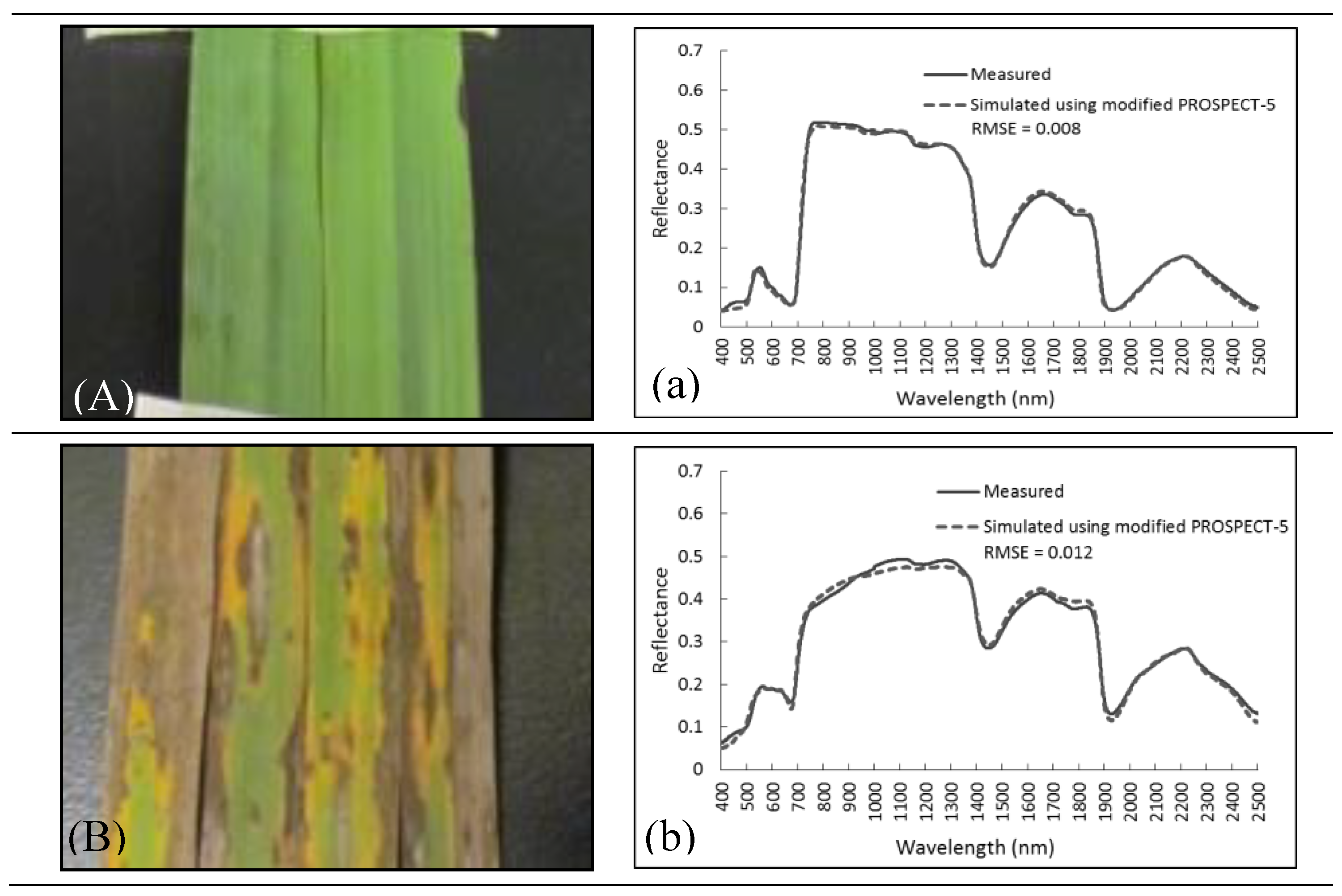 Remotesensing 11 01979 g007a Remotesensing 11 01979 g007a