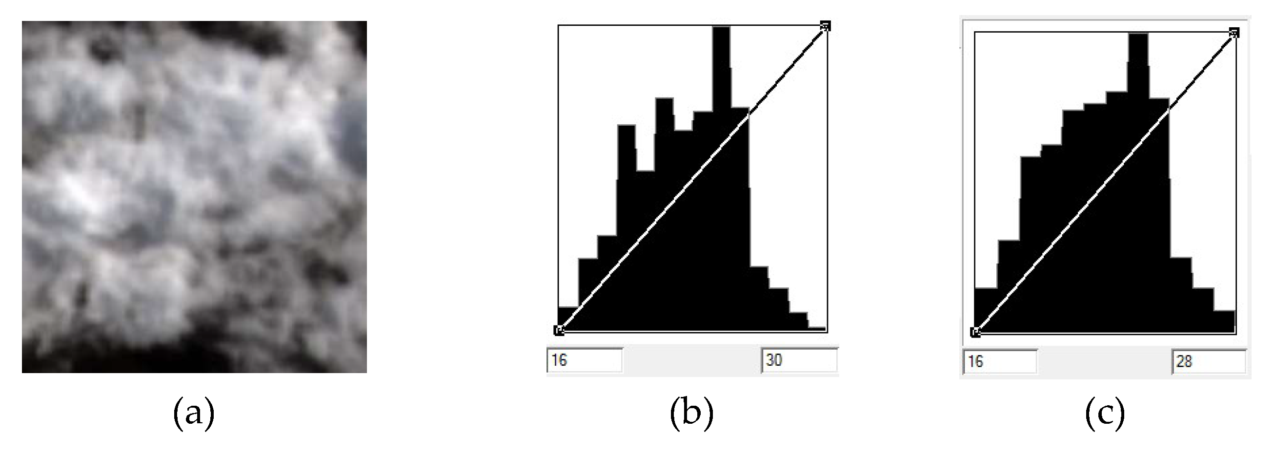 Remotesensing 11 02060 g004 Remotesensing 11 02060 g004