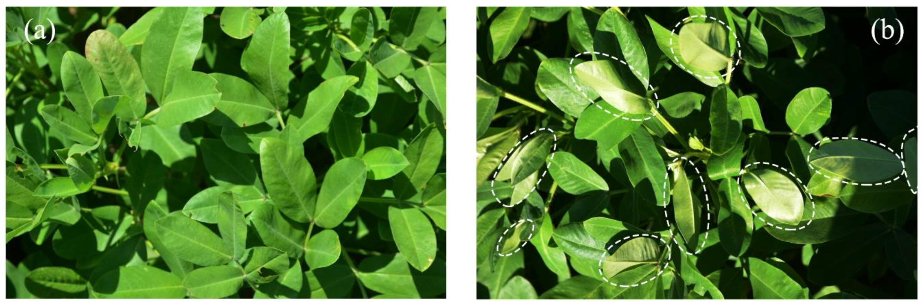 Remotesensing 11 02148 g001