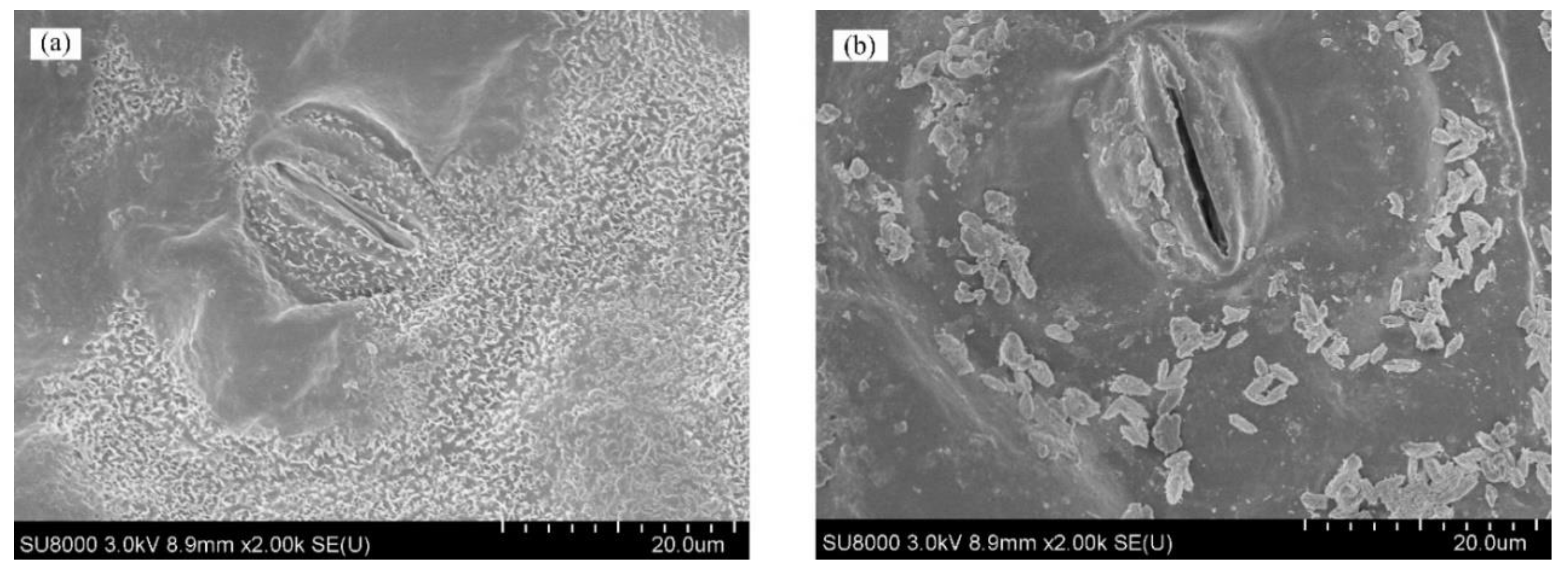 Remotesensing 11 02148 g003