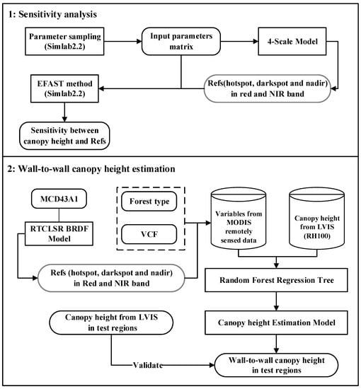 Remote Sensing | Free Full-Text | Estimating Forest Canopy Height Using ...