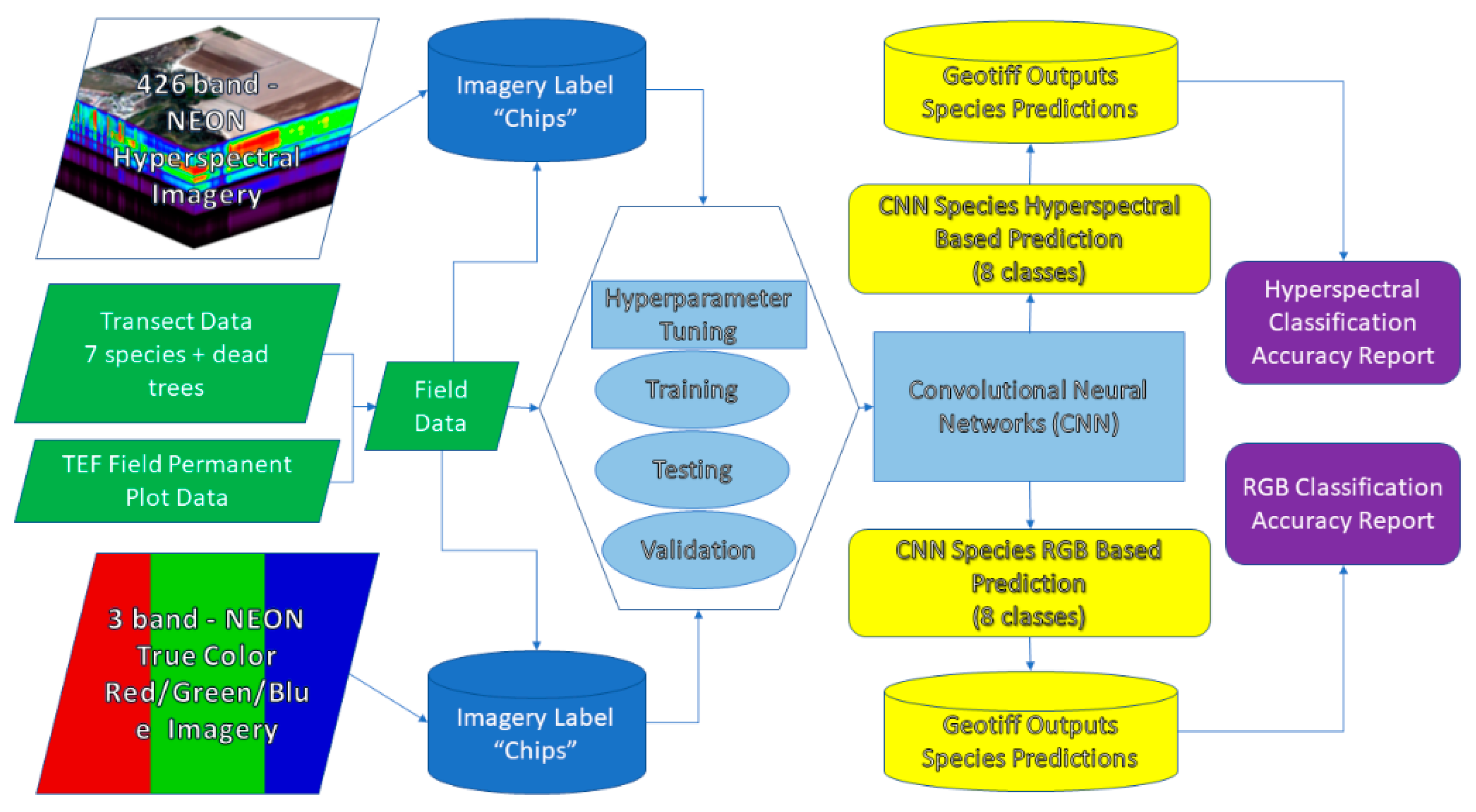 Remote Sensing | Free Full-Text | A Convolutional Neural Network Classifier  Identifies Tree Species in Mixed-Conifer Forest from Hyperspectral Imagery  | HTML
