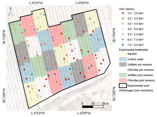 Remote Sensing Free Full Text Geometric Characterization Of Vines From 3d Point Clouds Obtained With Laser Scanner Systems Html