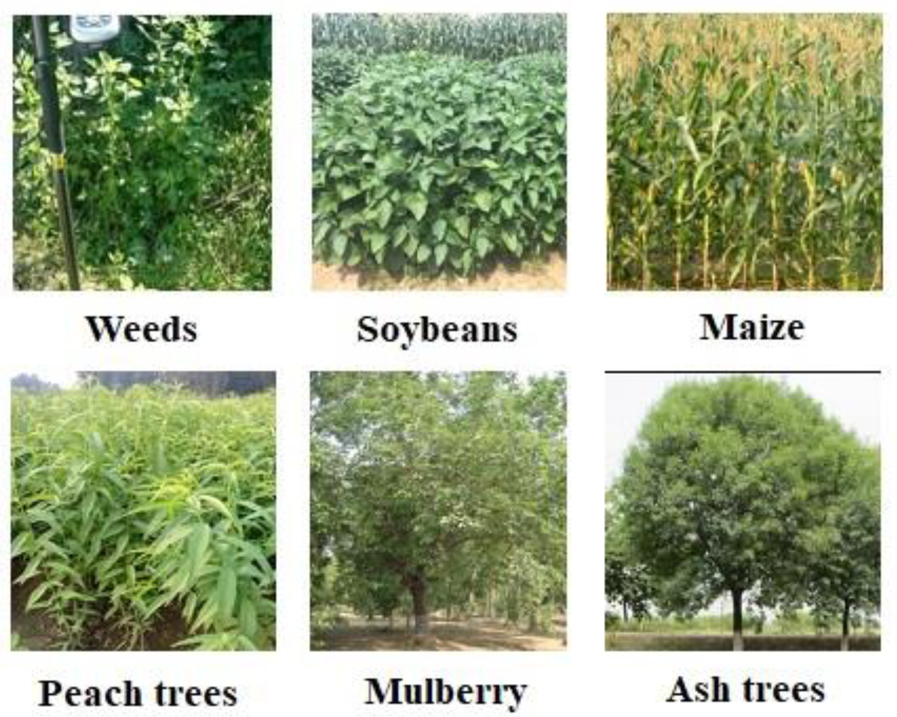 Remotesensing 11 02753 g002