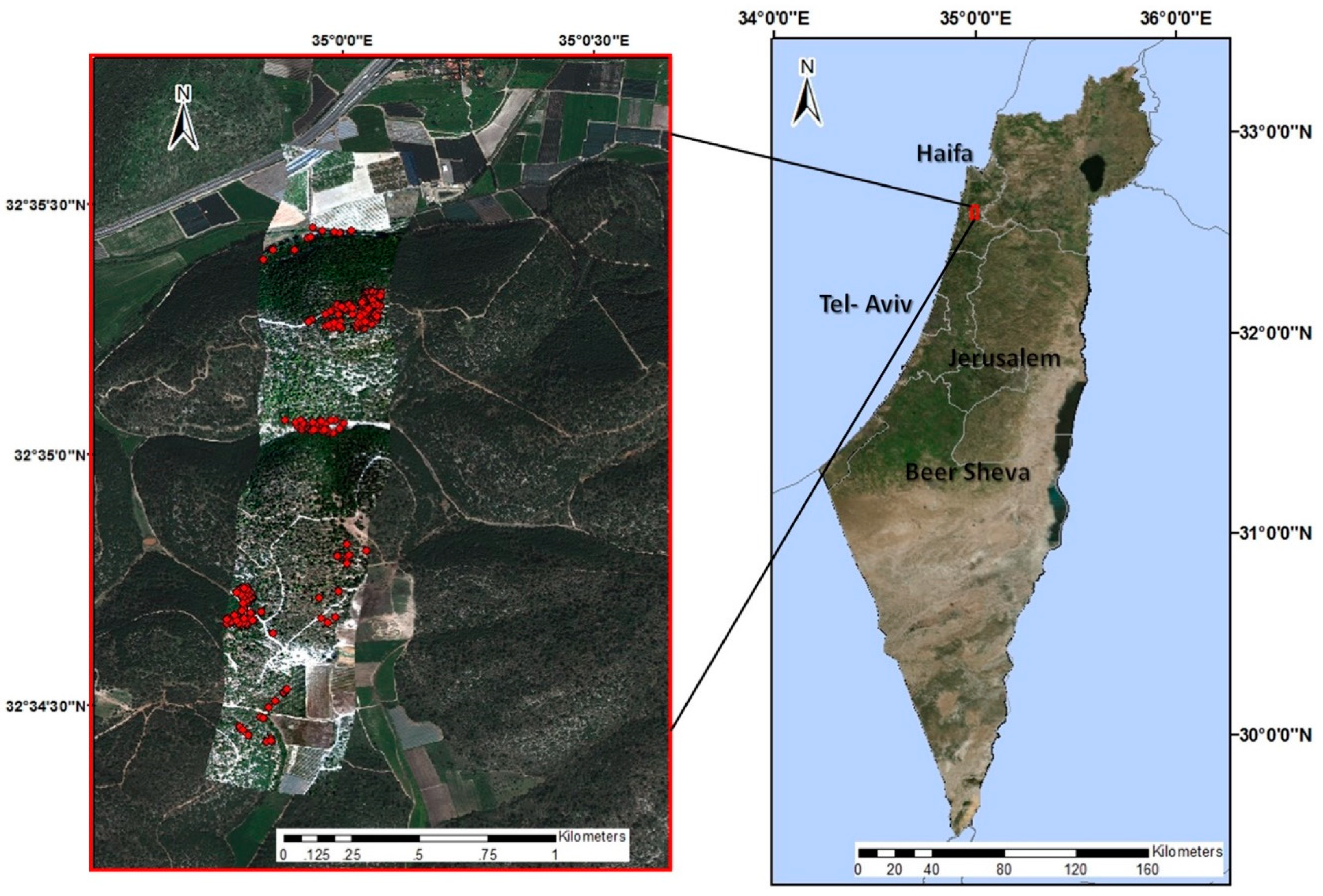 Remotesensing 11 02800 g001 Remotesensing 11 02800 g001