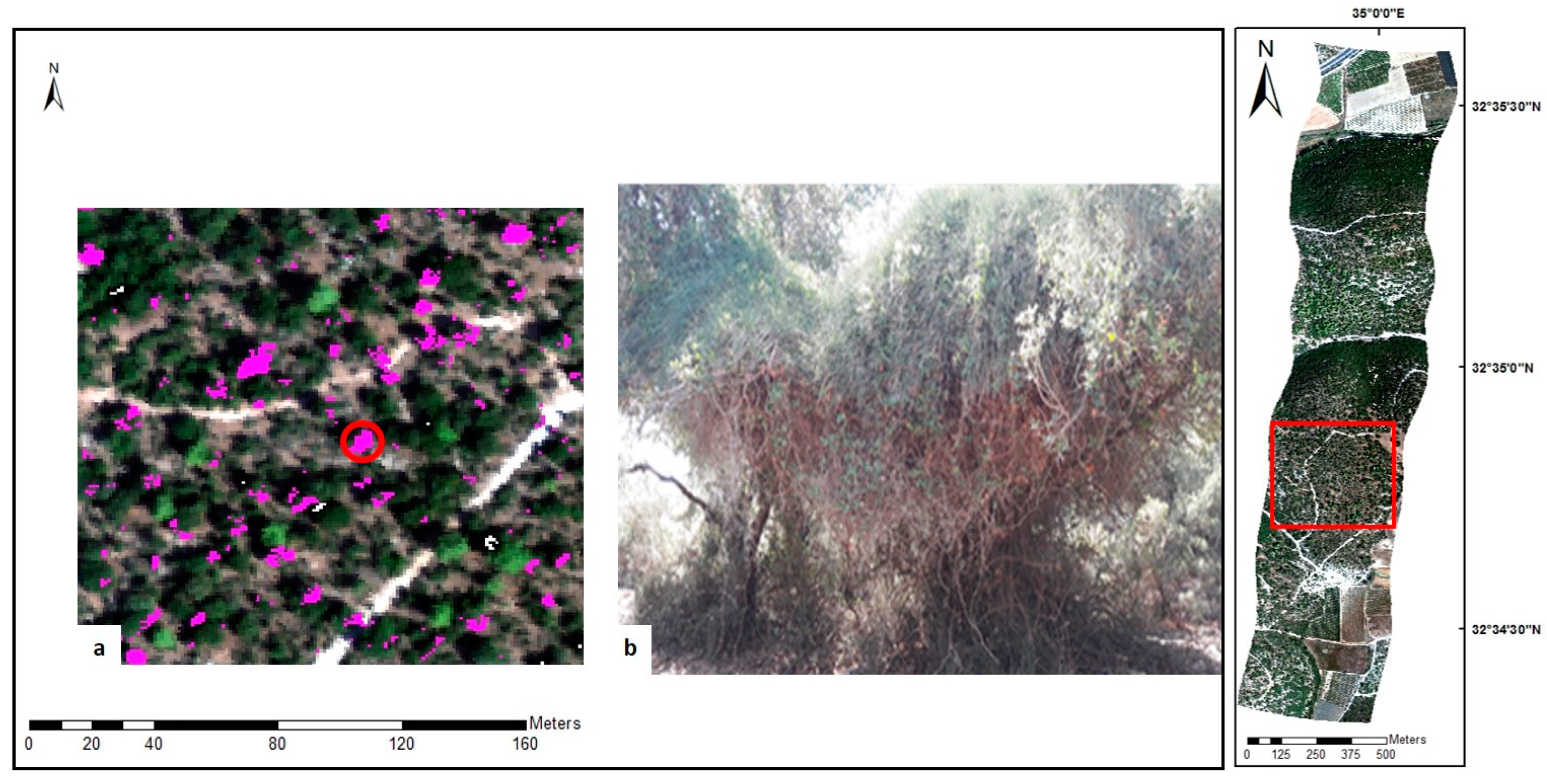 Remotesensing 11 02800 g010 Remotesensing 11 02800 g010