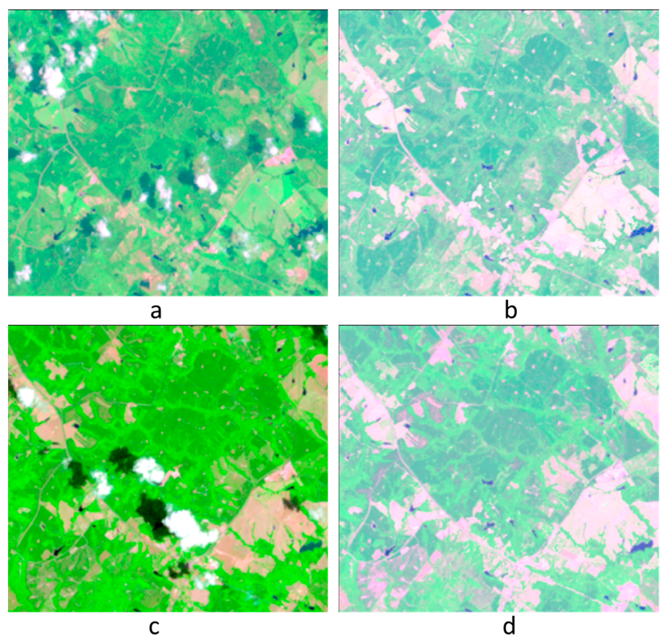 Remote Sensing, Free Full-Text