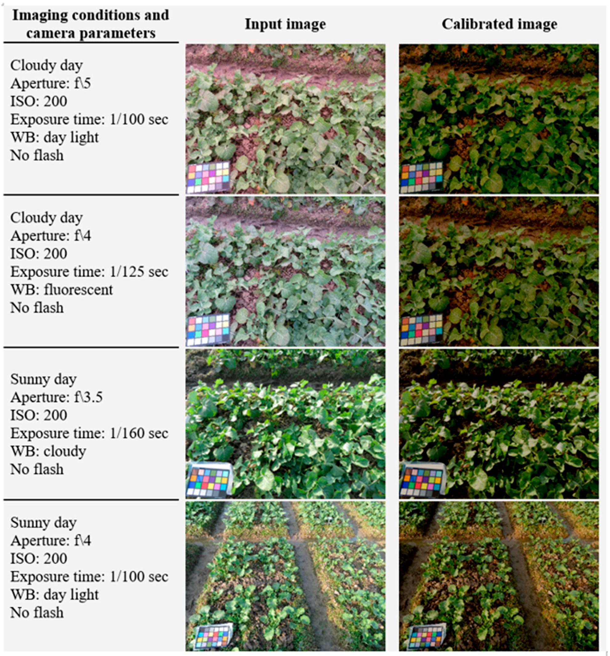 Remotesensing 11 03001 g008 Remotesensing 11 03001 g008