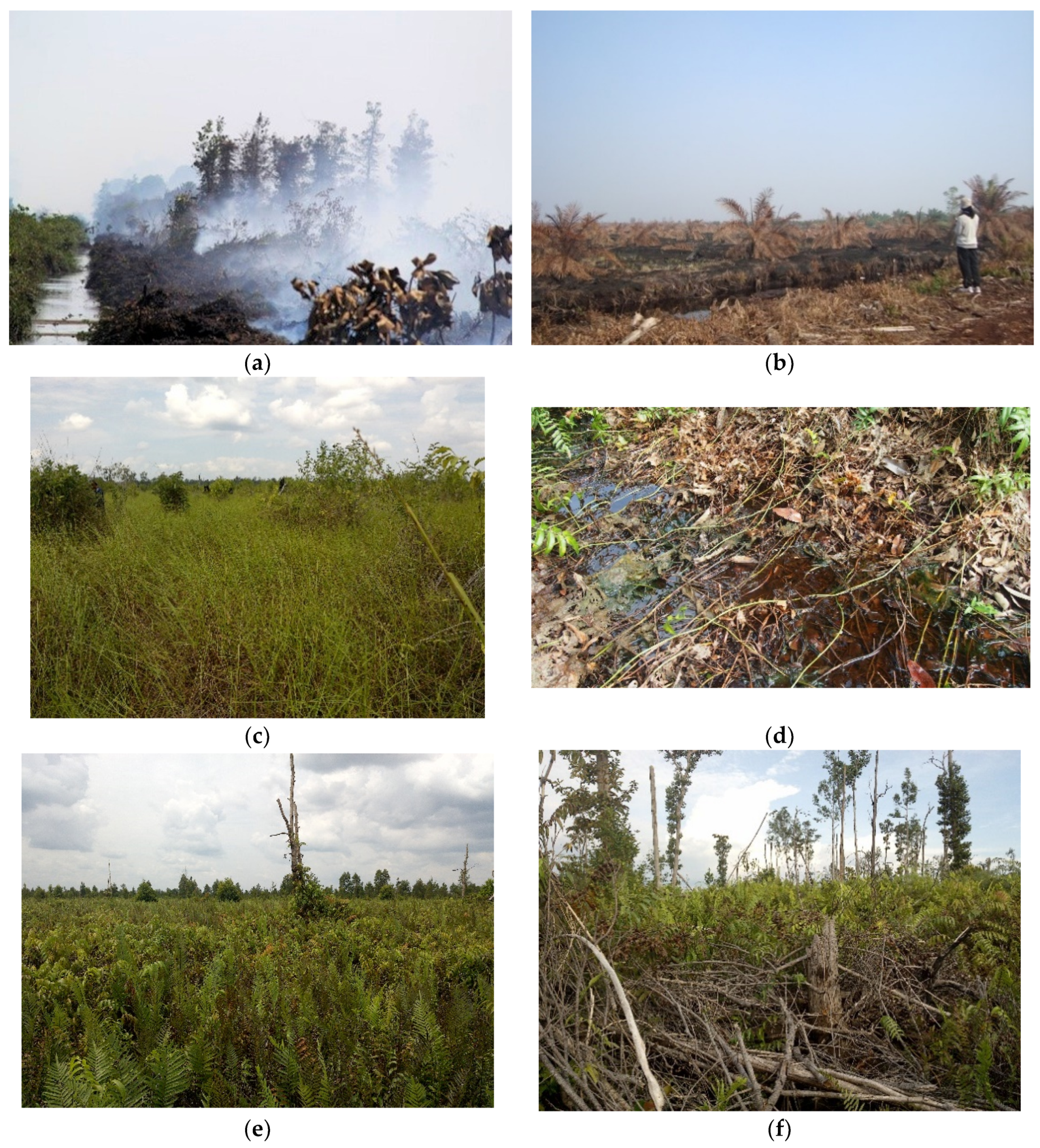 Remotesensing 12 00005 g007