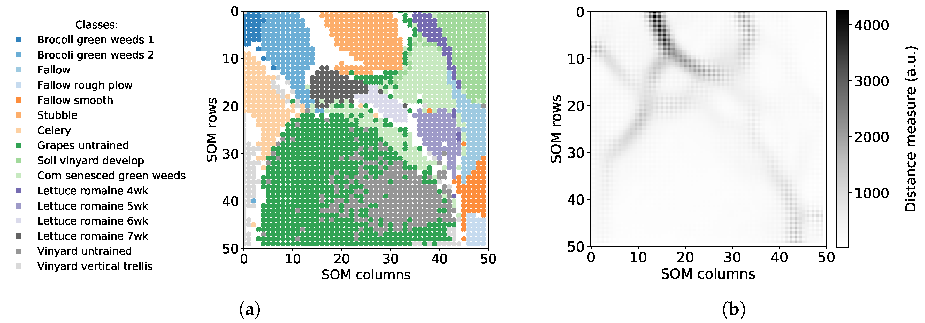 self organizing maps tensorflow