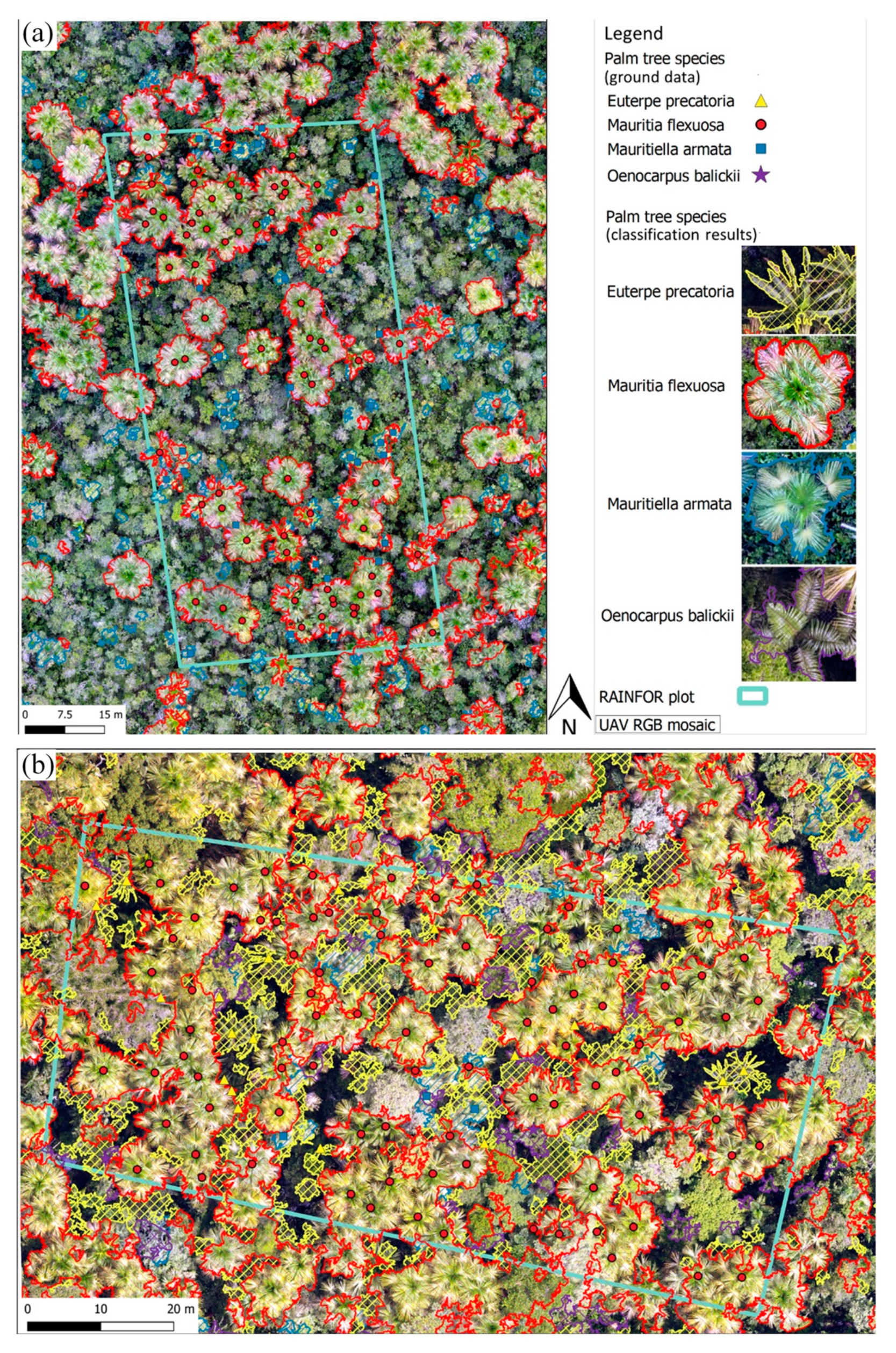 Remotesensing 12 00009 g005