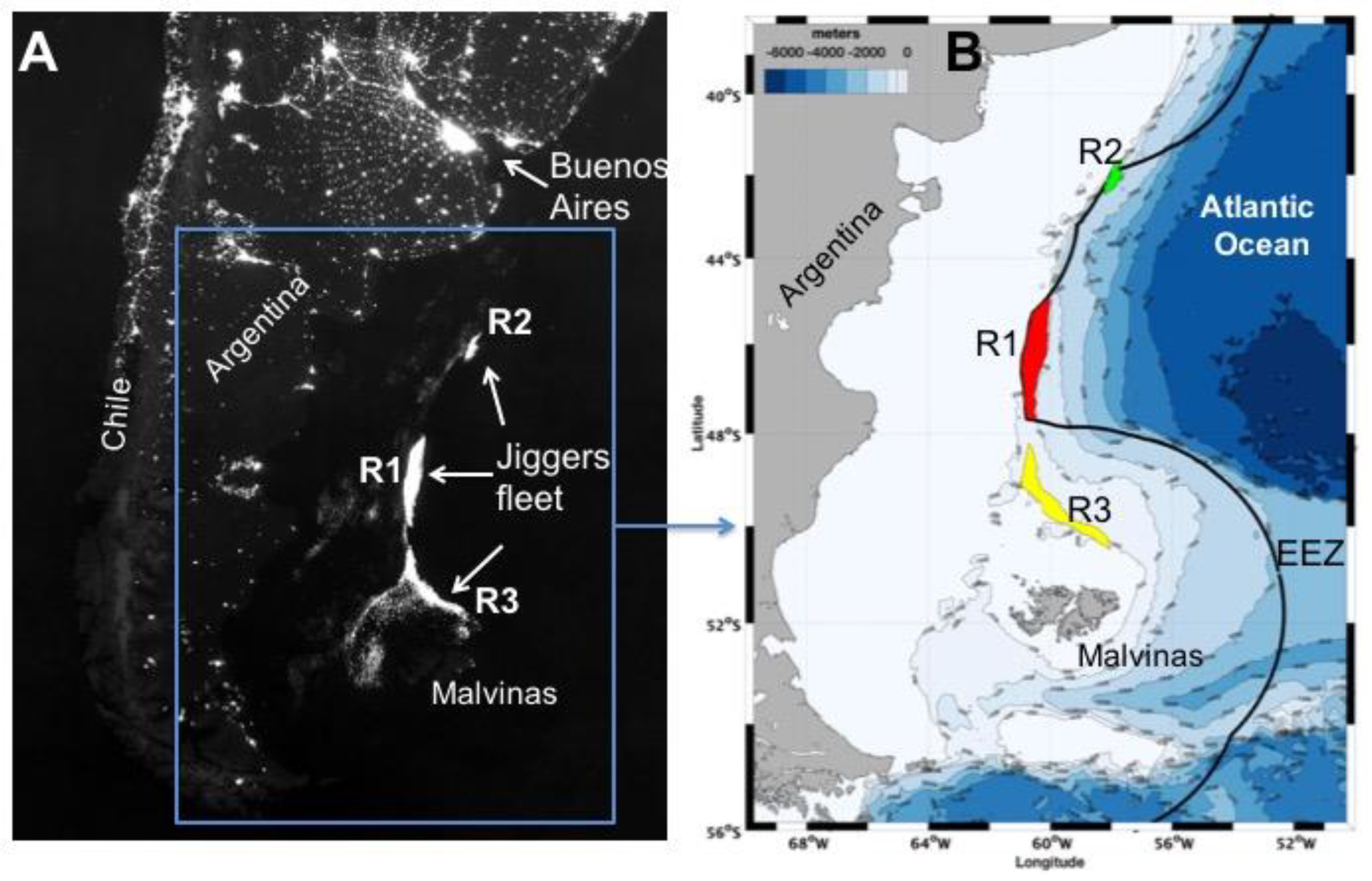 Remote Sensing | Free Full-Text | Sensing the Same Fishing Fleet with AIS  and VIIRS: A Seven-Year Assessment of Squid Jiggers in FAO Major Fishing  Area 41