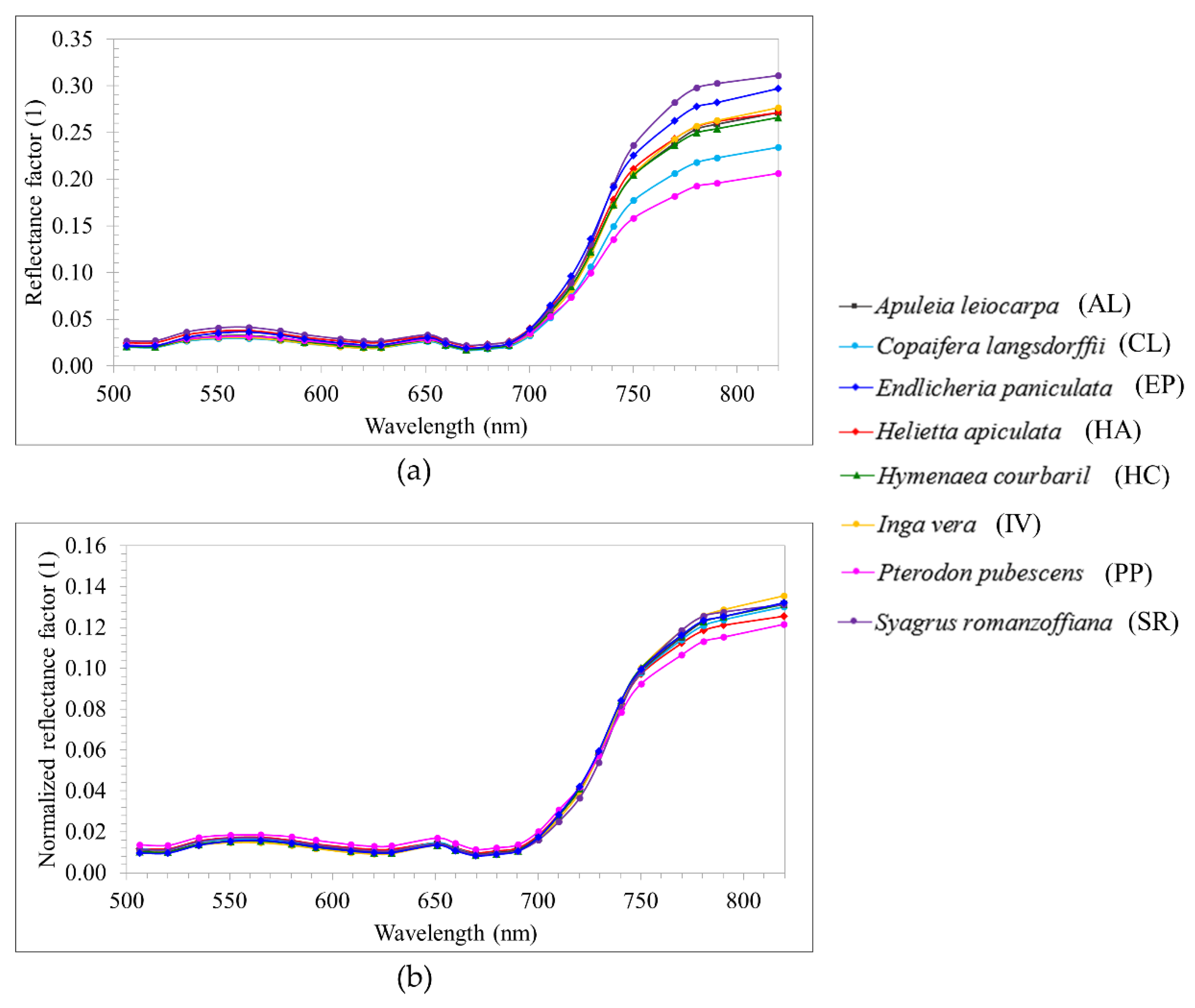 Remote Sensing Free Full Text Evaluation Of Hyperspectral Multitemporal Information To Improve Tree Species Identification In The Highly Diverse Atlantic Forest Html