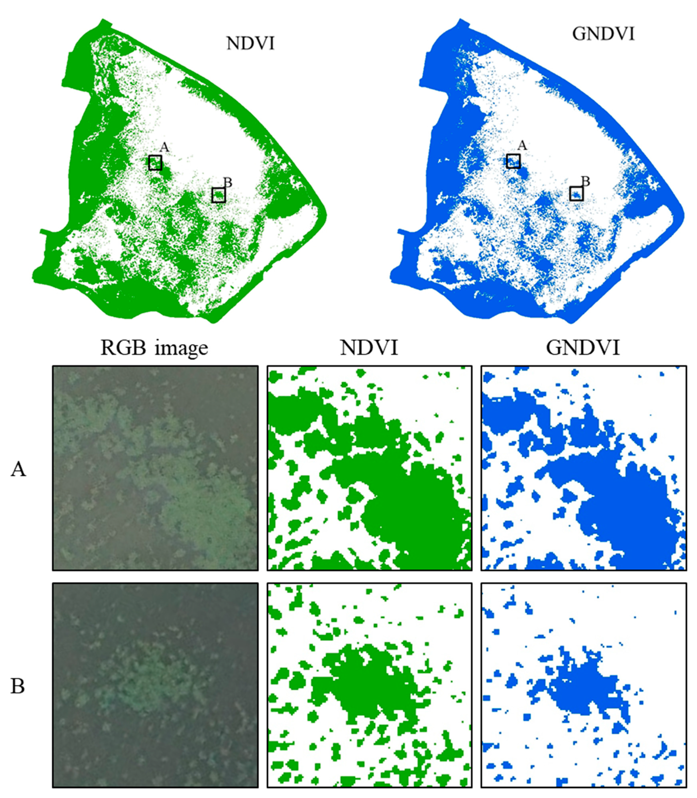 Remote Sensing | Free Full-Text | Detection of Aquatic Plants Using  Multispectral UAV Imagery and Vegetation Index