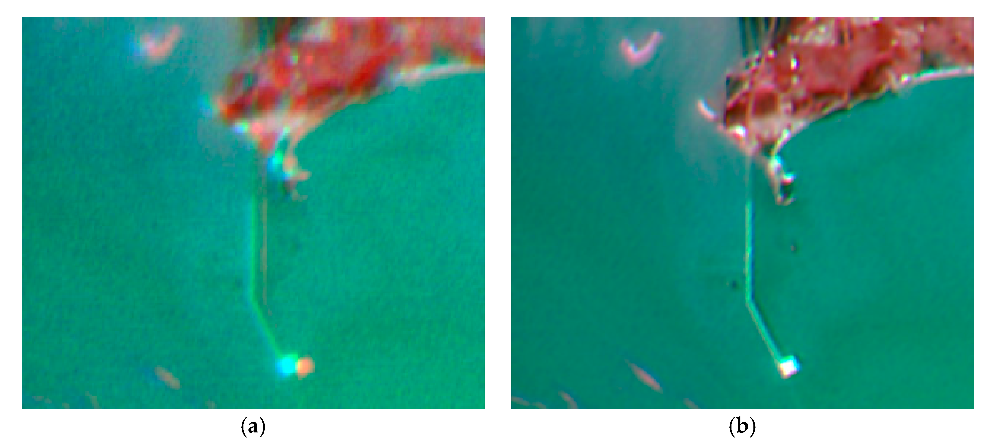 Remotesensing 12 00466 g003 Remotesensing 12 00466 g003