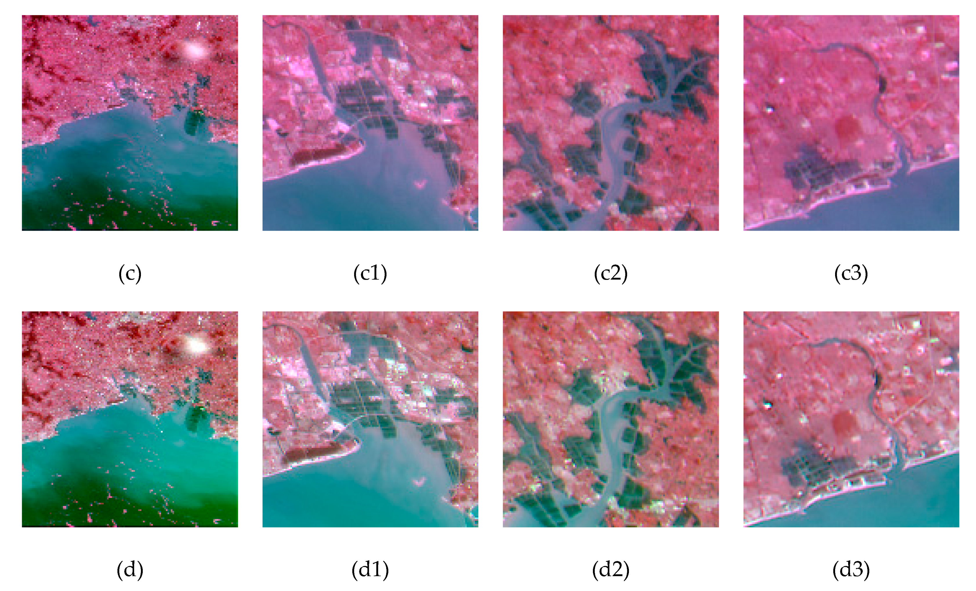 Remotesensing 12 00466 g008b Remotesensing 12 00466 g008b