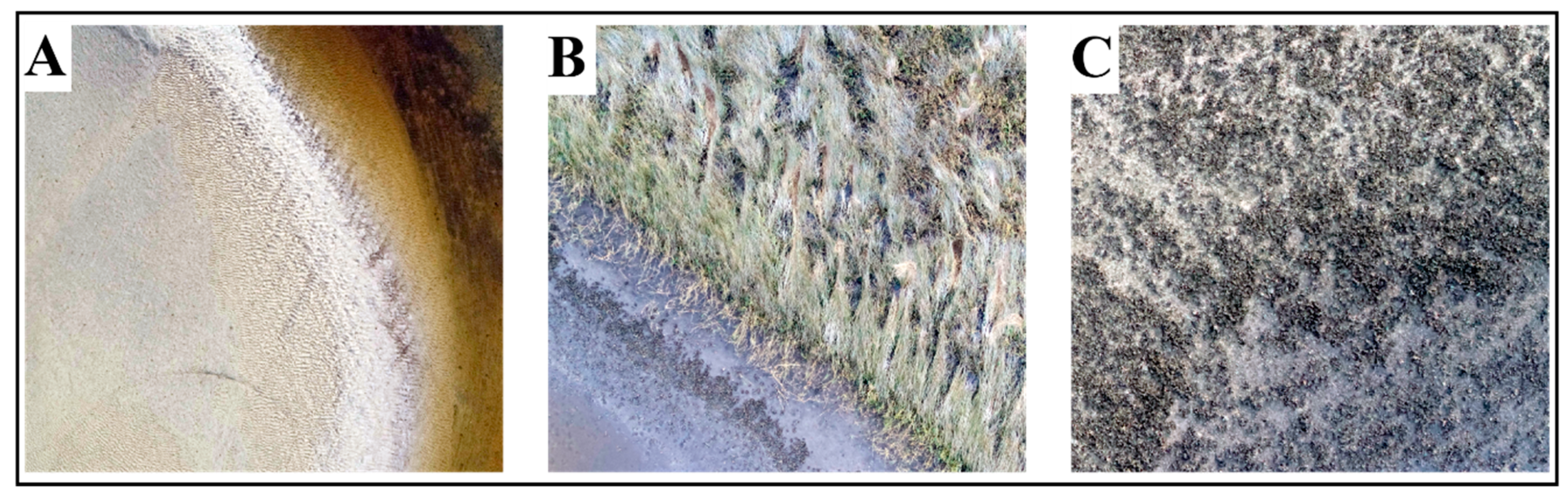 Remotesensing 12 00677 g003