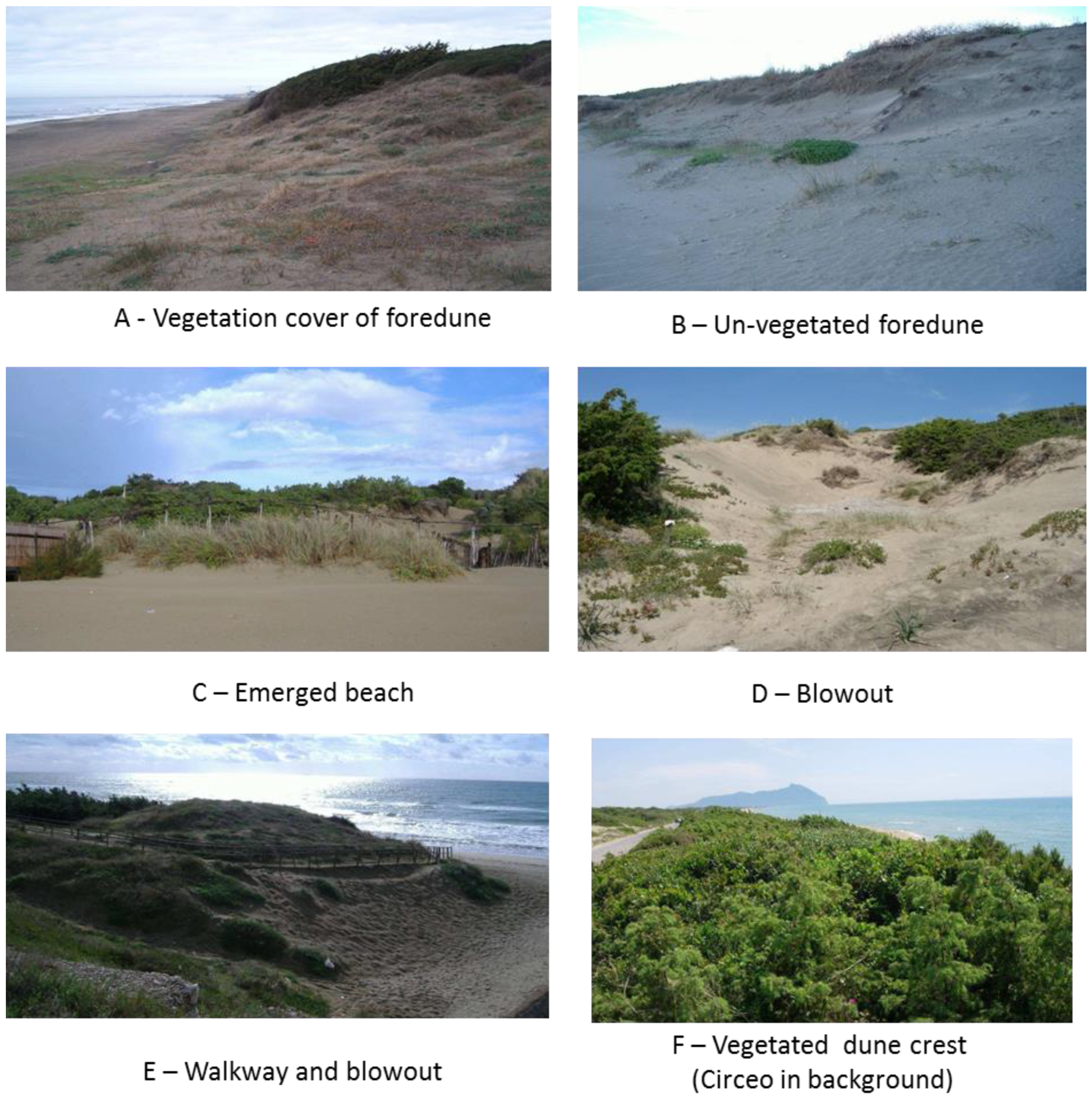 Remotesensing 12 01053 g002