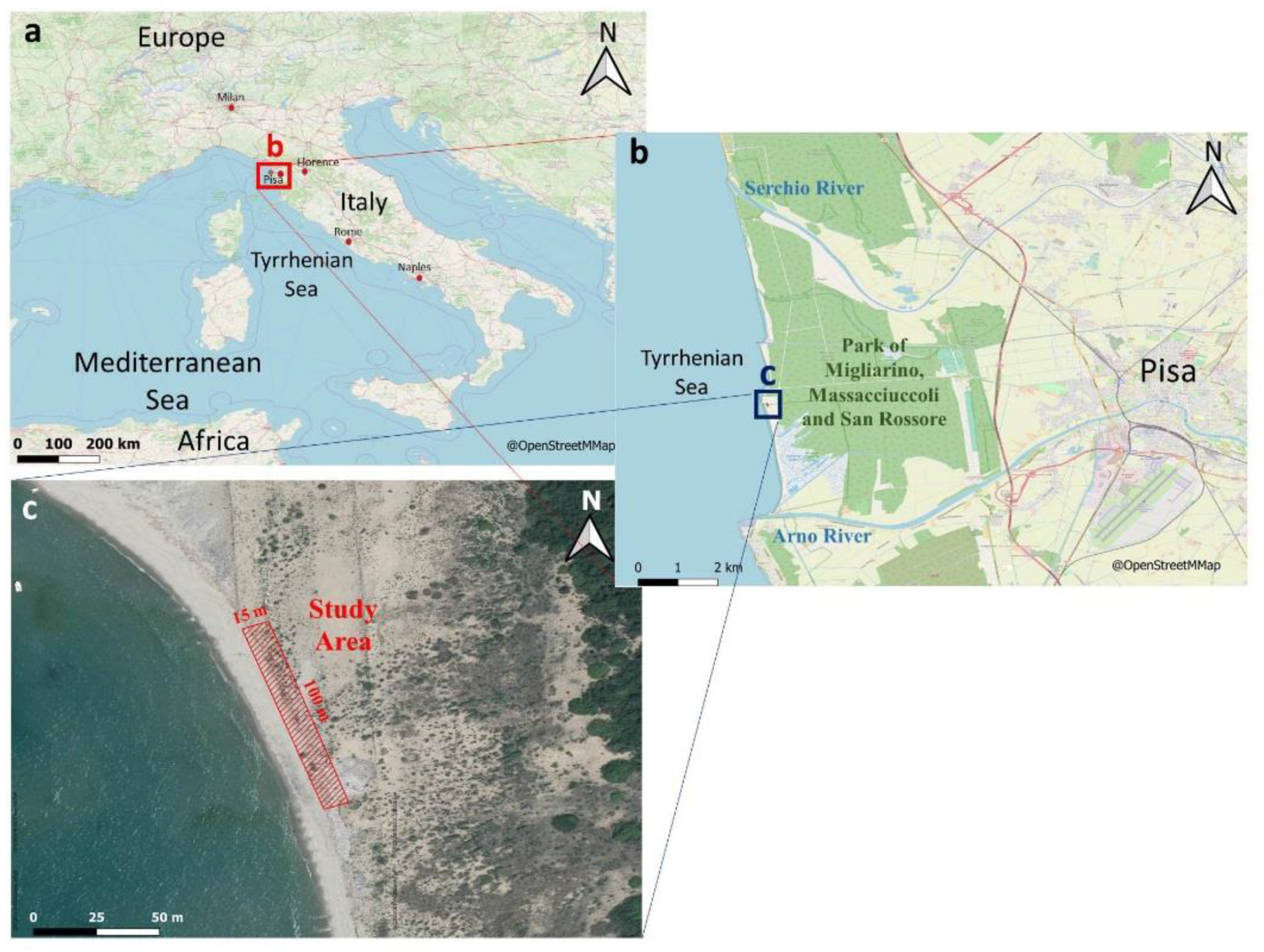 Remote Sensing | Free Full-Text | Unmanned Aerial Vehicles for Debris  Survey in Coastal Areas: Long-Term Monitoring Programme to Study Spatial  and Temporal Accumulation of the Dynamics of Beached Marine Litter