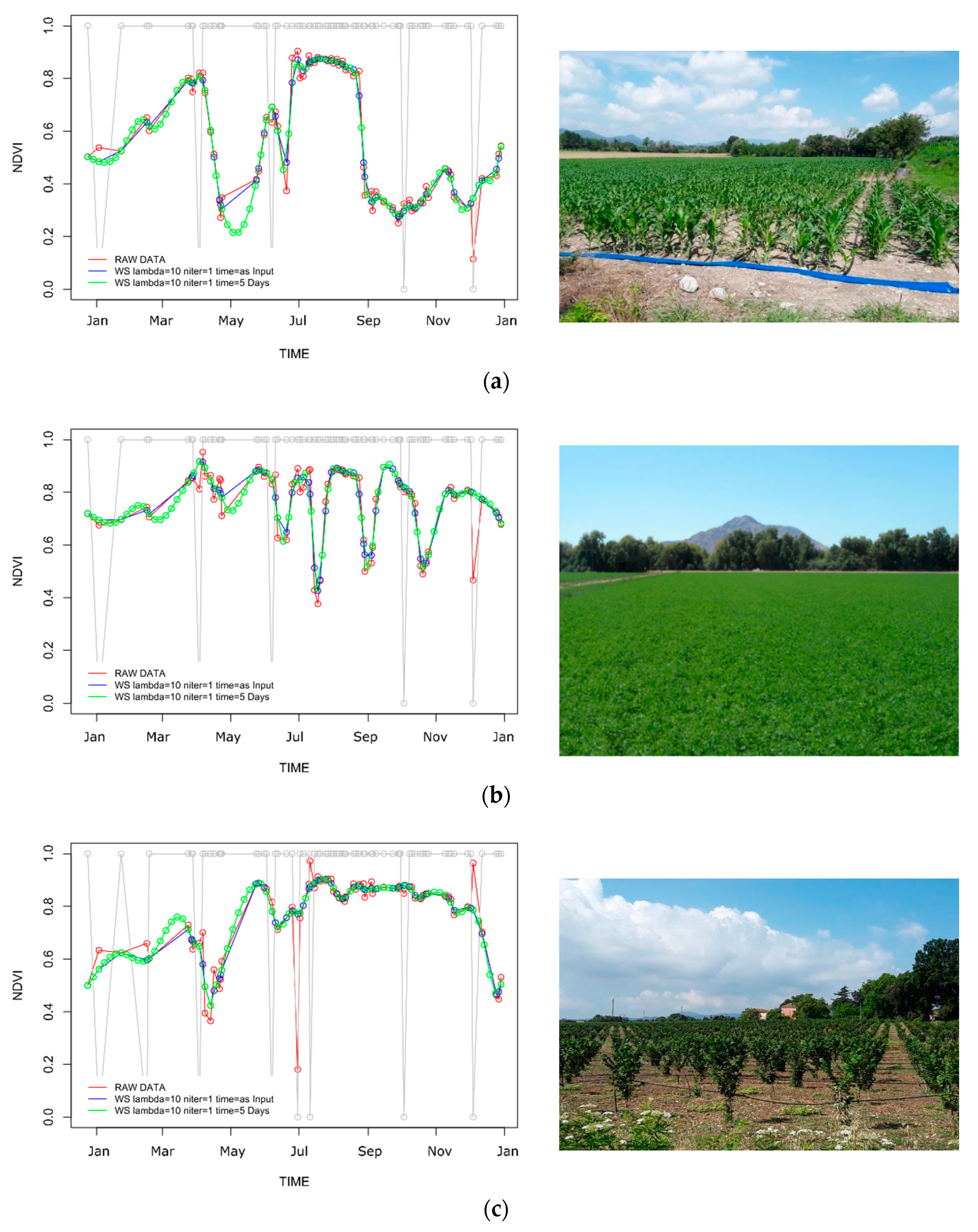 Remotesensing 12 01275 g003 Remotesensing 12 01275 g003