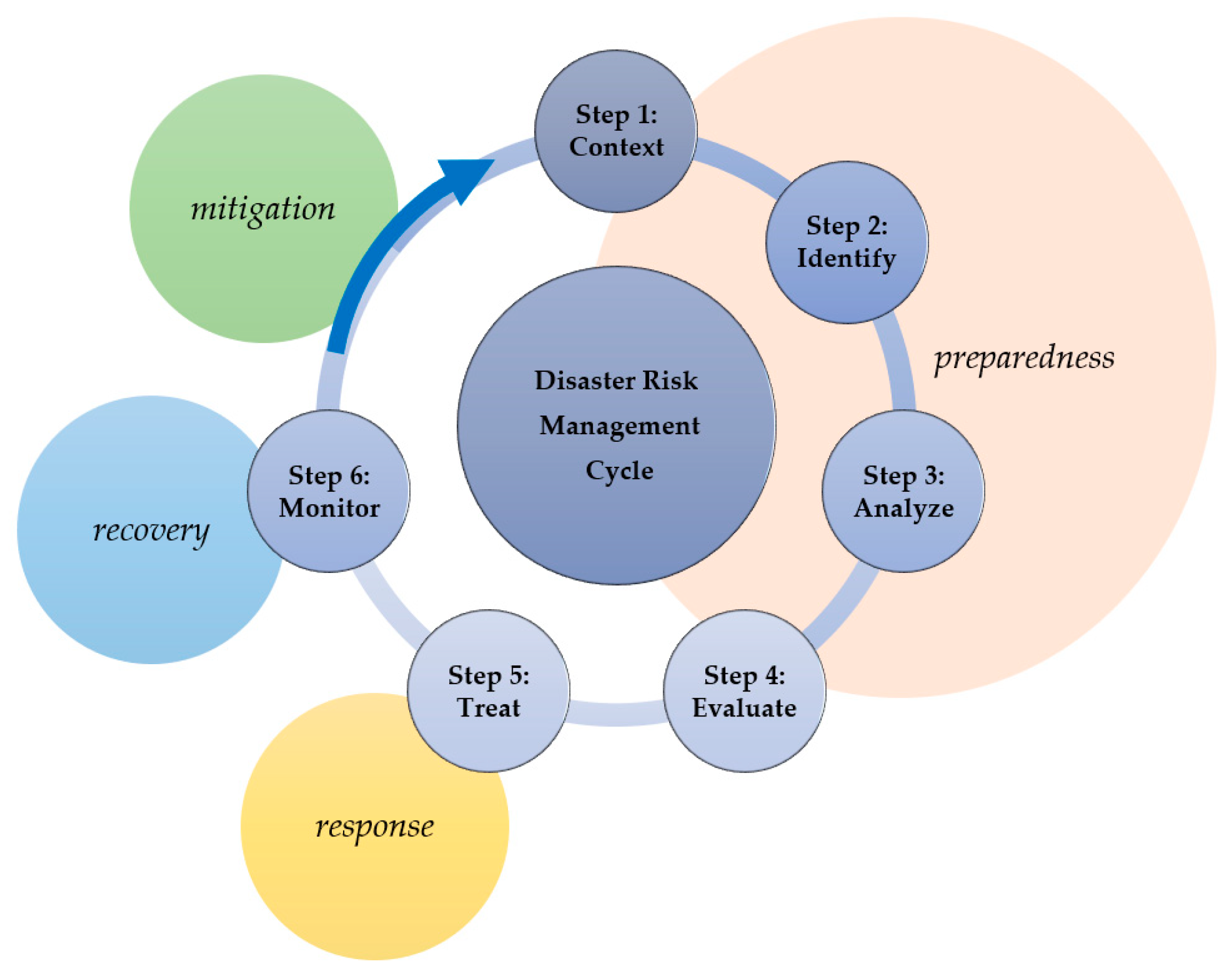 State programming. Risk Management Cycle. Disaster risk Management. Риск менеджмент кейсы. What is Cultural Heritage.