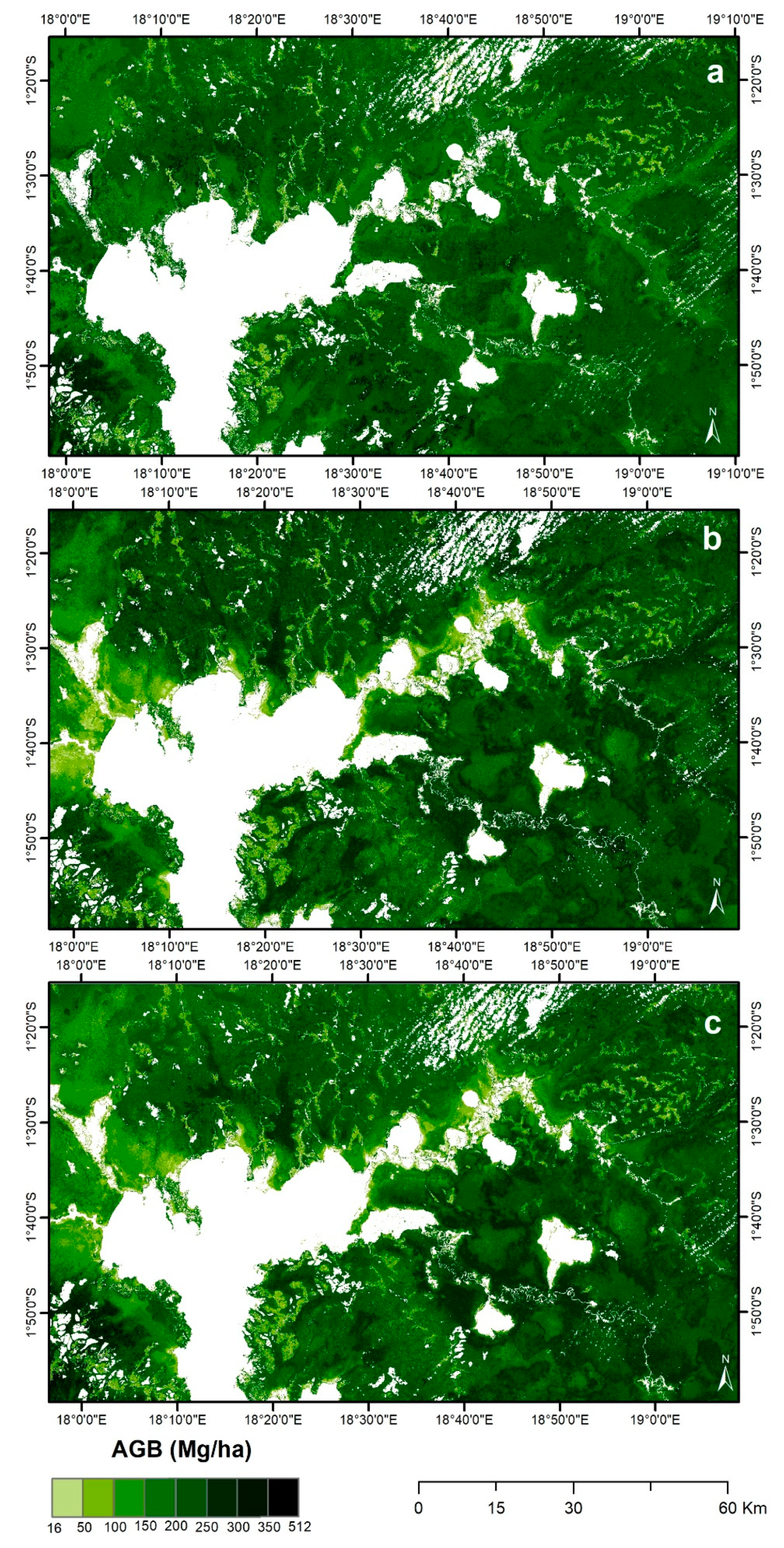 Remote Sensing | Free Full-Text | Democratic Republic of the Congo Tropical  Forest Canopy Height and Aboveground Biomass Estimation with Landsat-8  Operational Land Imager (OLI) and Airborne LiDAR Data: The Effect of